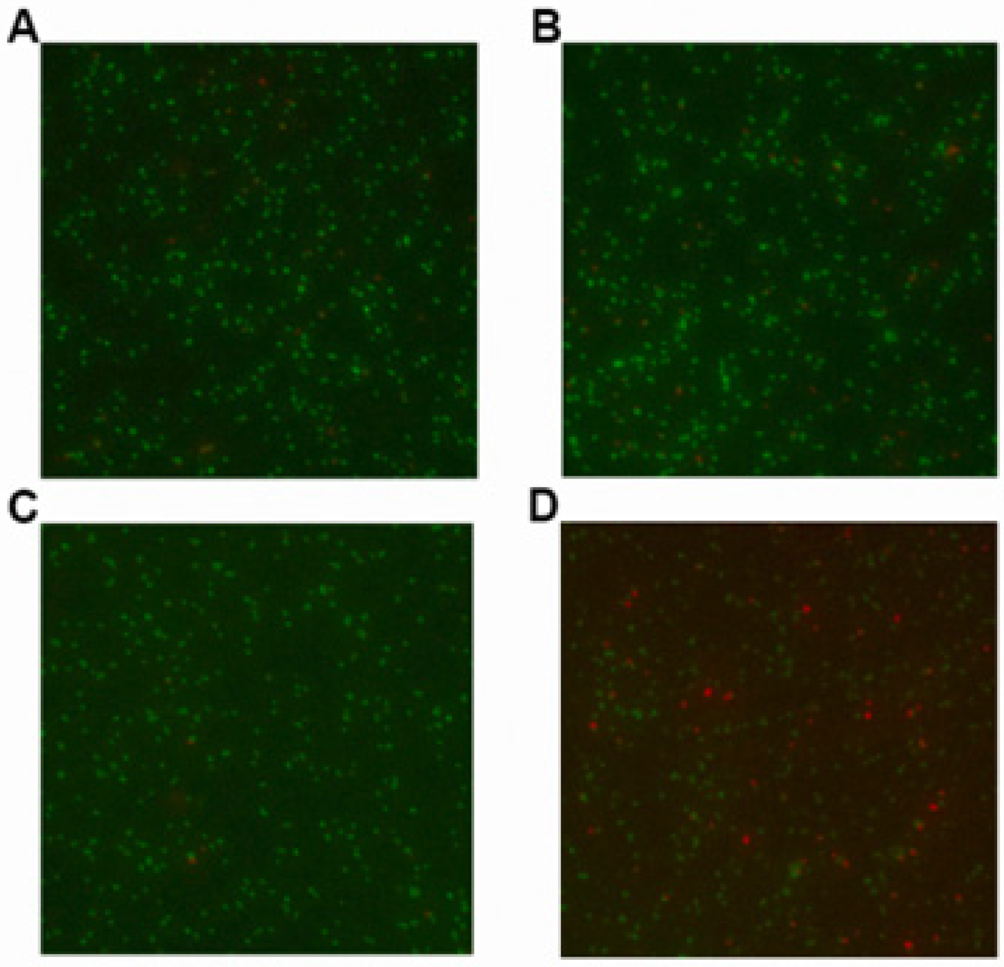 Molecules 27 02318 g008 Molecules 27 02318 g008