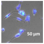 Molecules 27 02325 i030