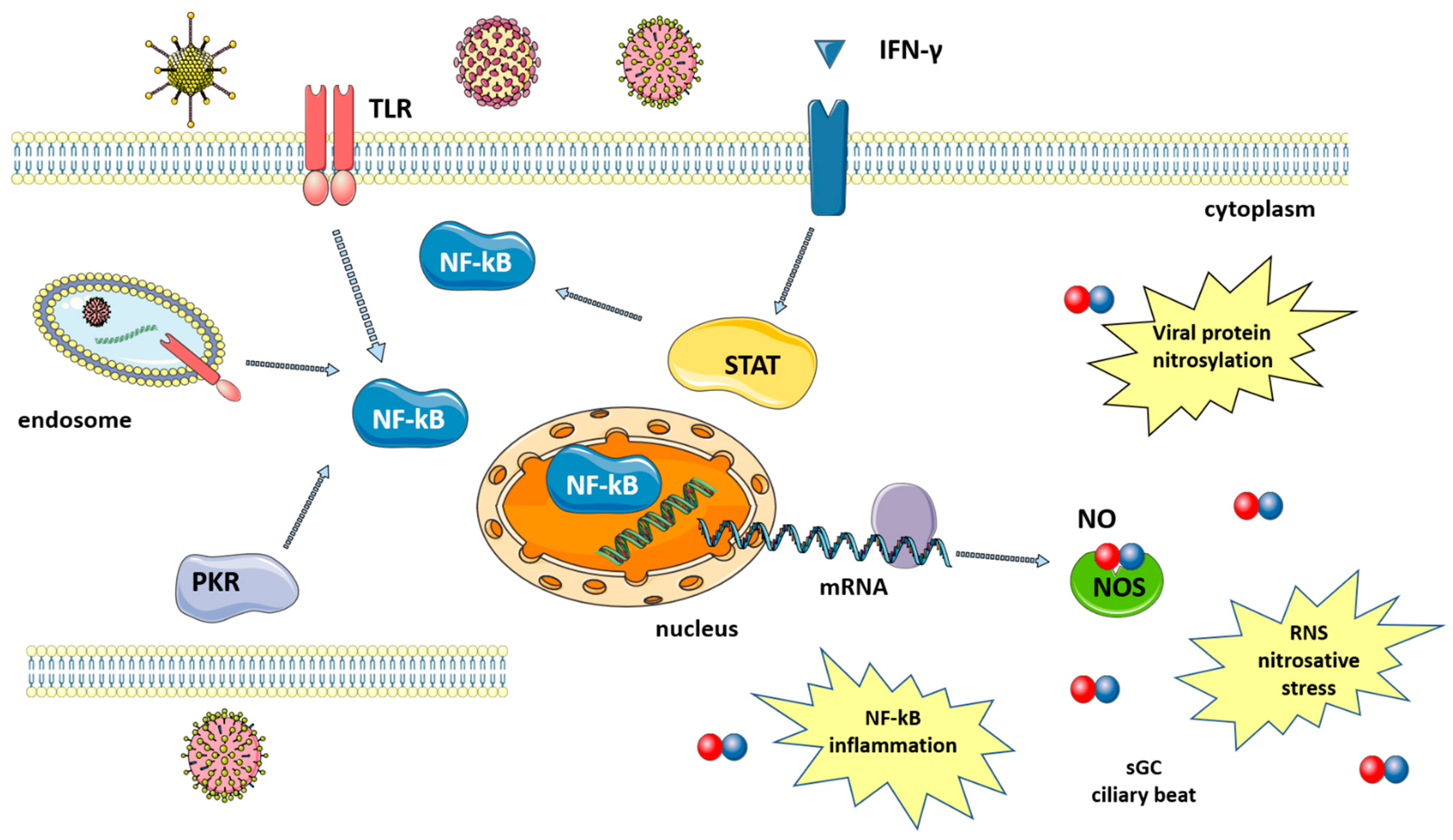 Molecules 27 02337 g001