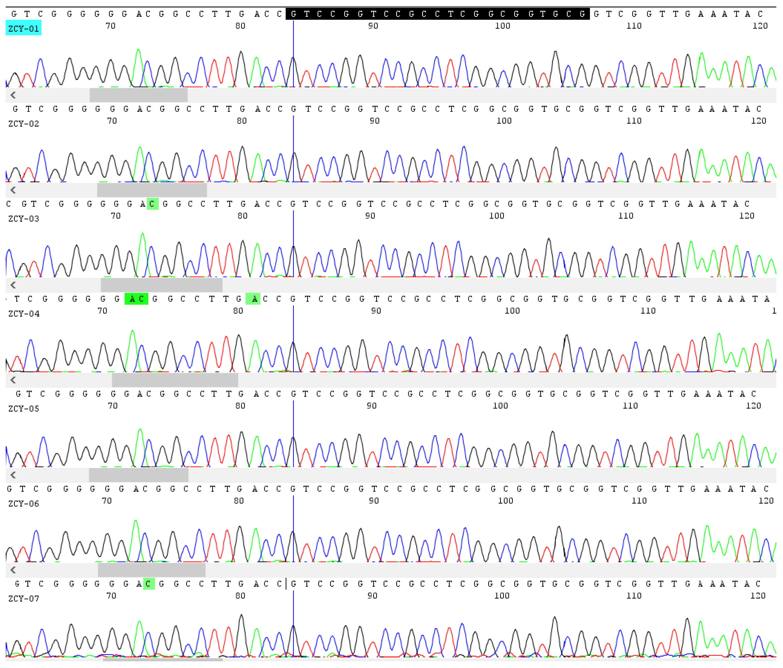 Molecules 27 02342 g002