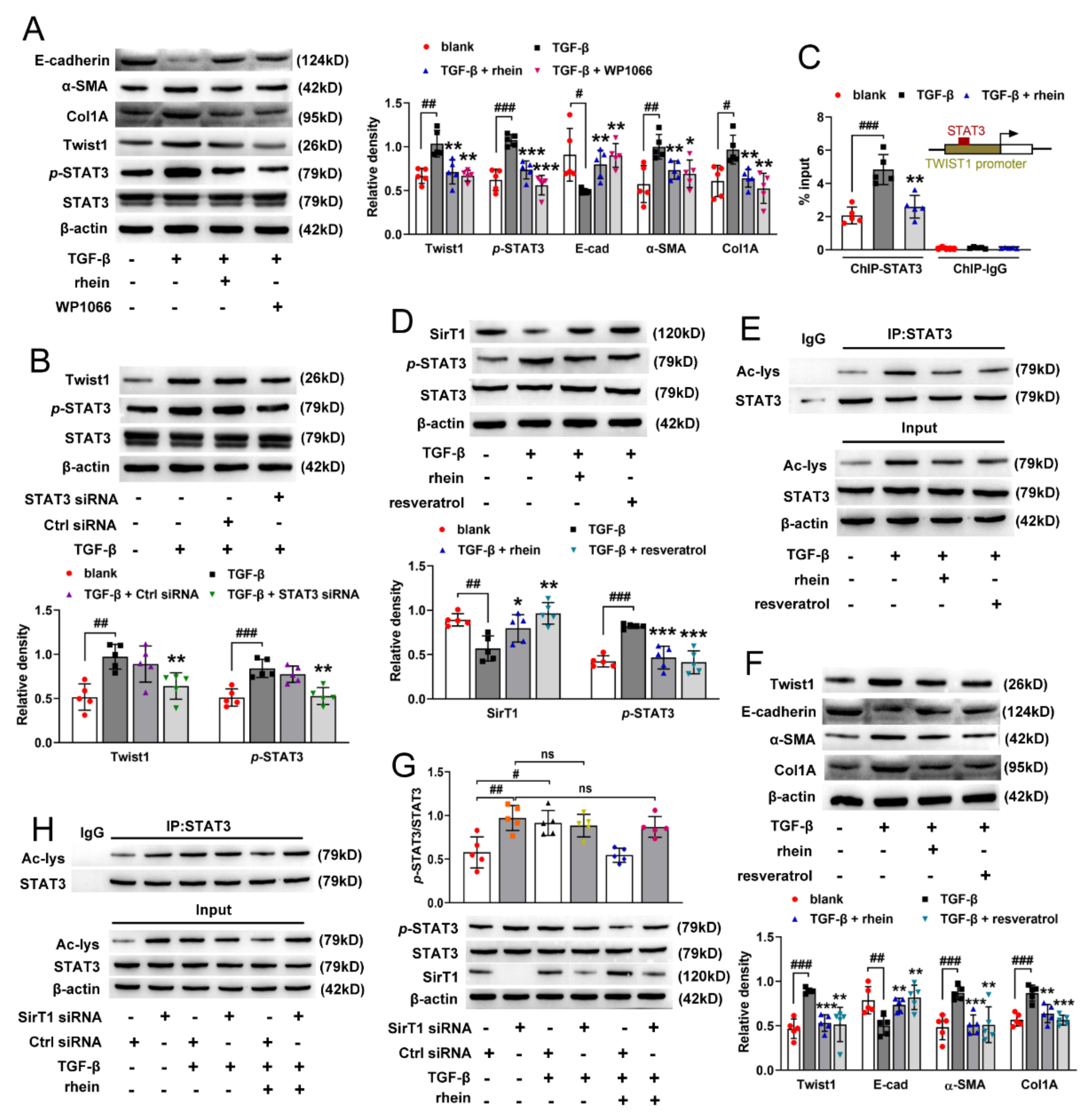 Molecules 27 02344 g005 Molecules 27 02344 g005