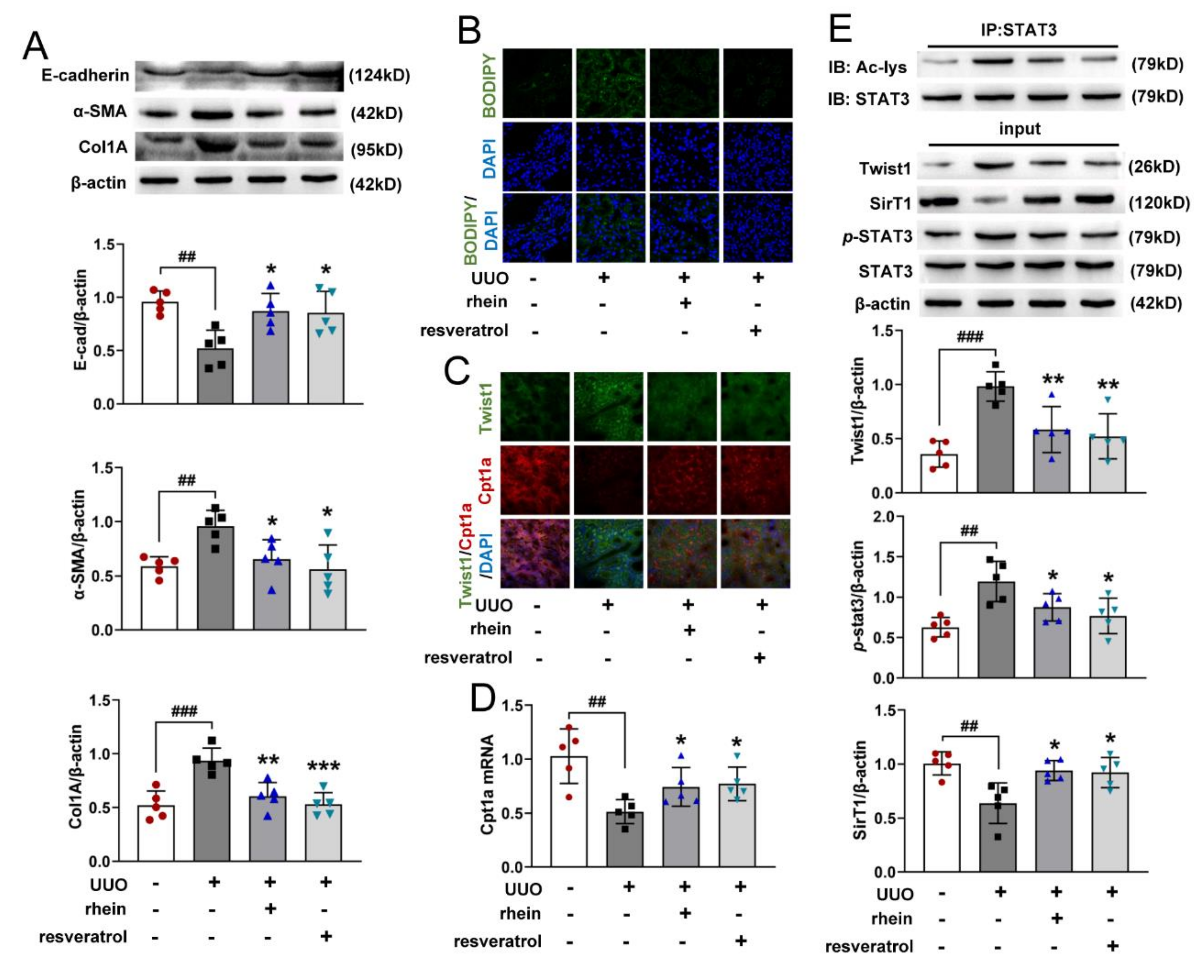 Molecules 27 02344 g006 Molecules 27 02344 g006