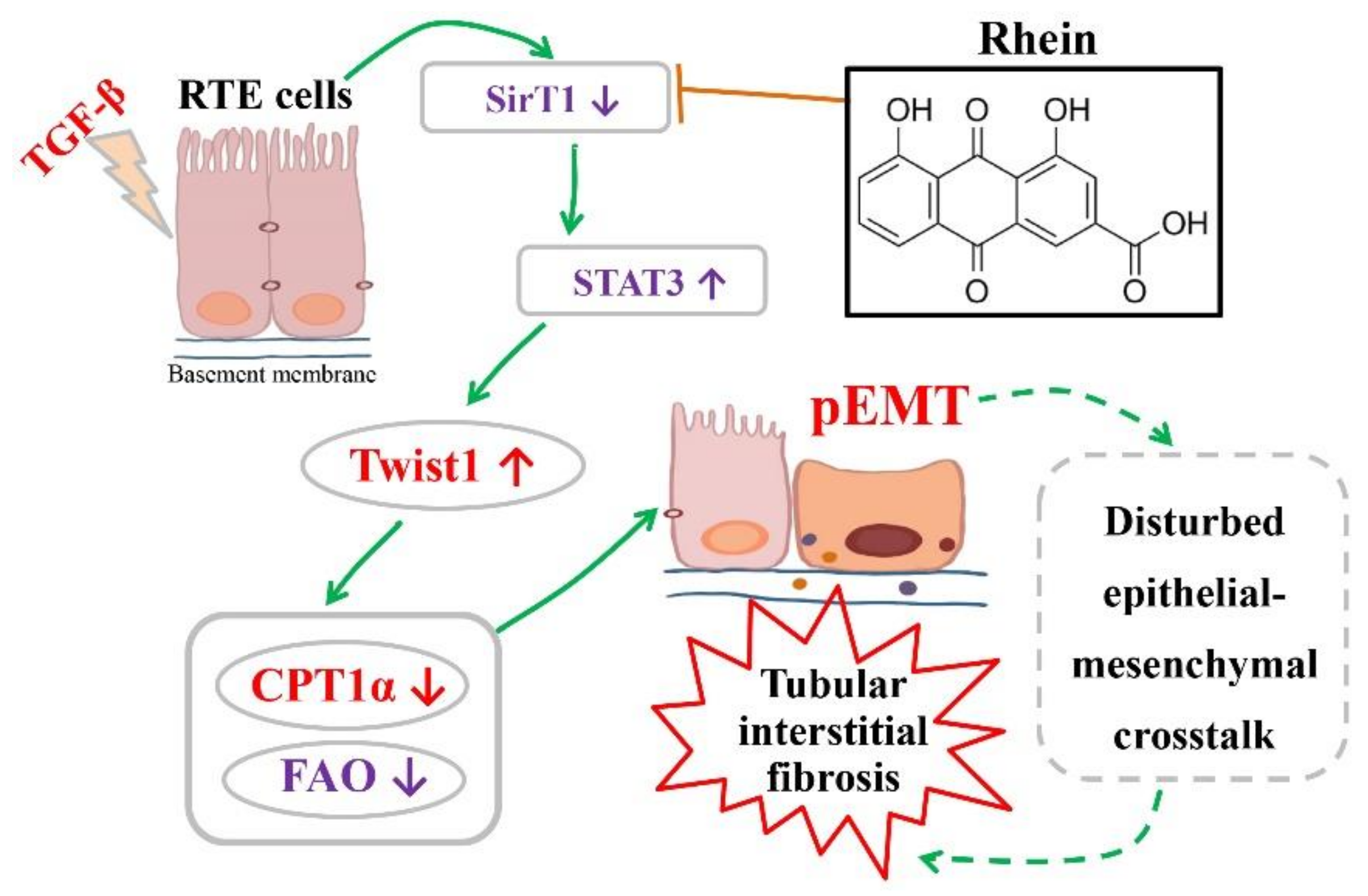 Molecules 27 02344 g007 Molecules 27 02344 g007