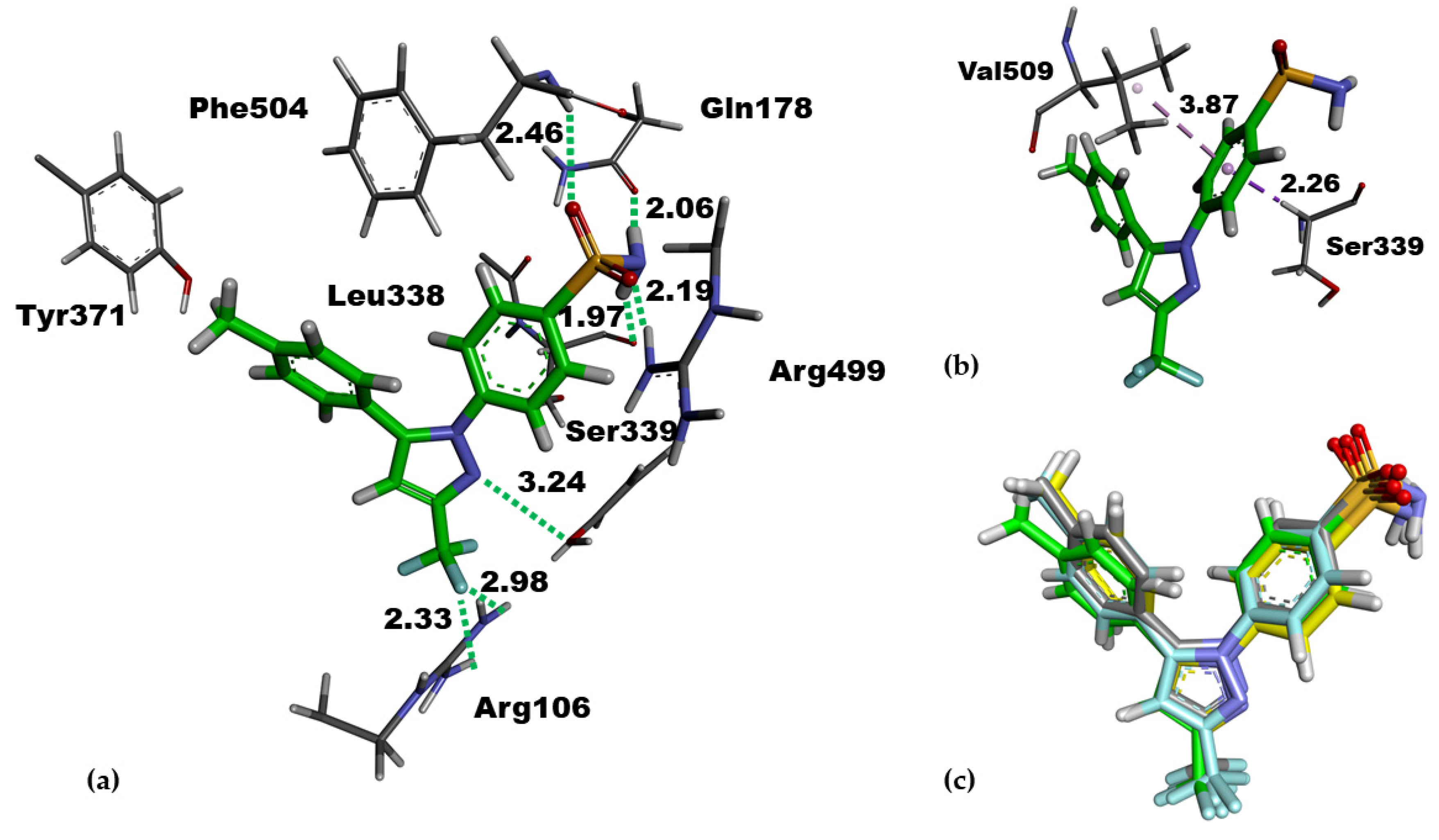 Molecules 27 02346 g002