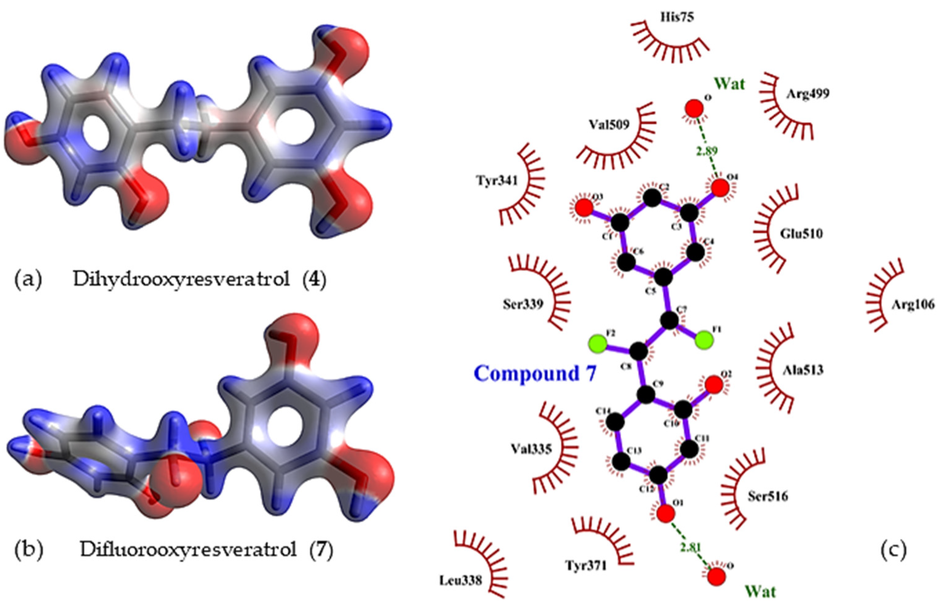 Molecules 27 02346 g007