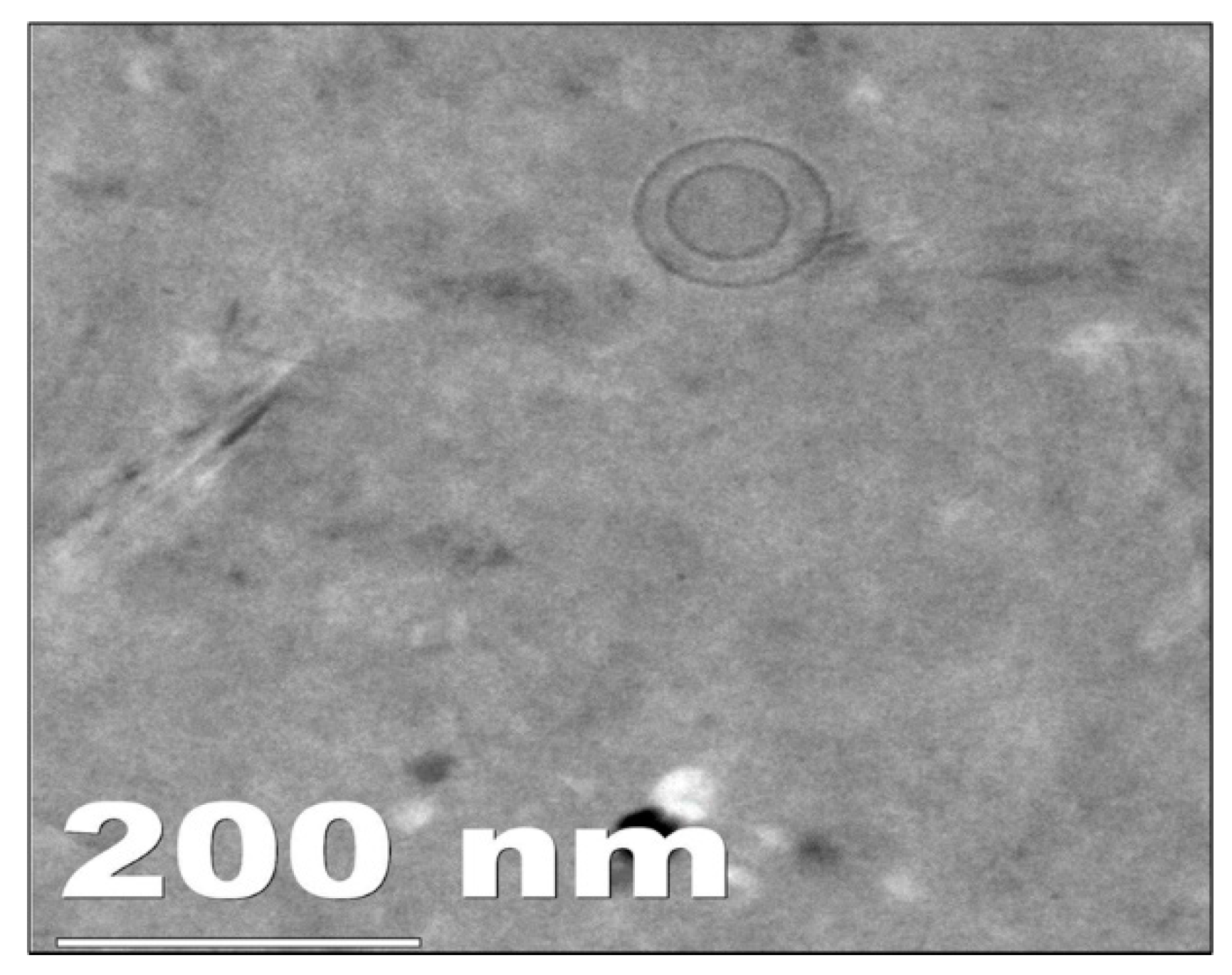 Molecules 27 02349 g001