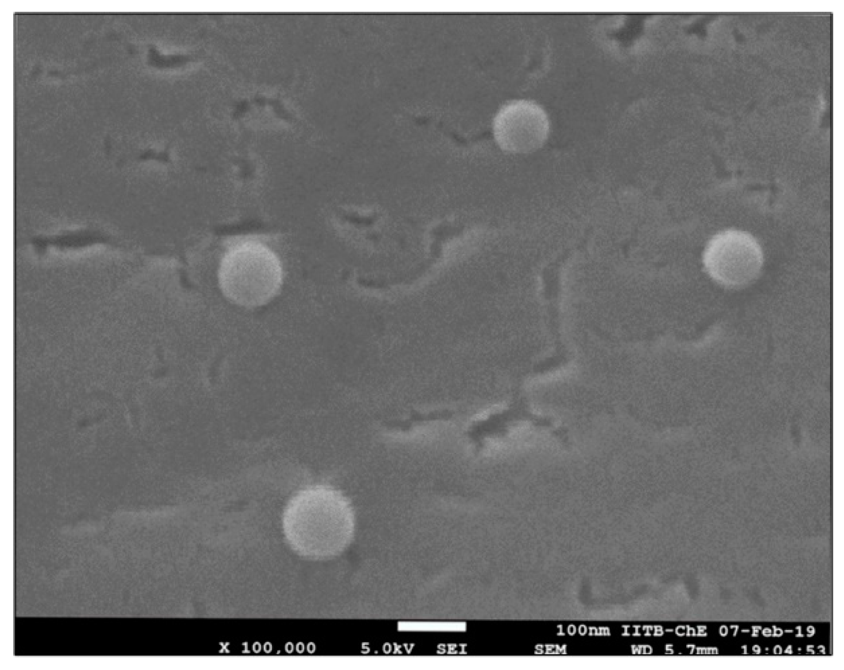 Molecules 27 02349 g002