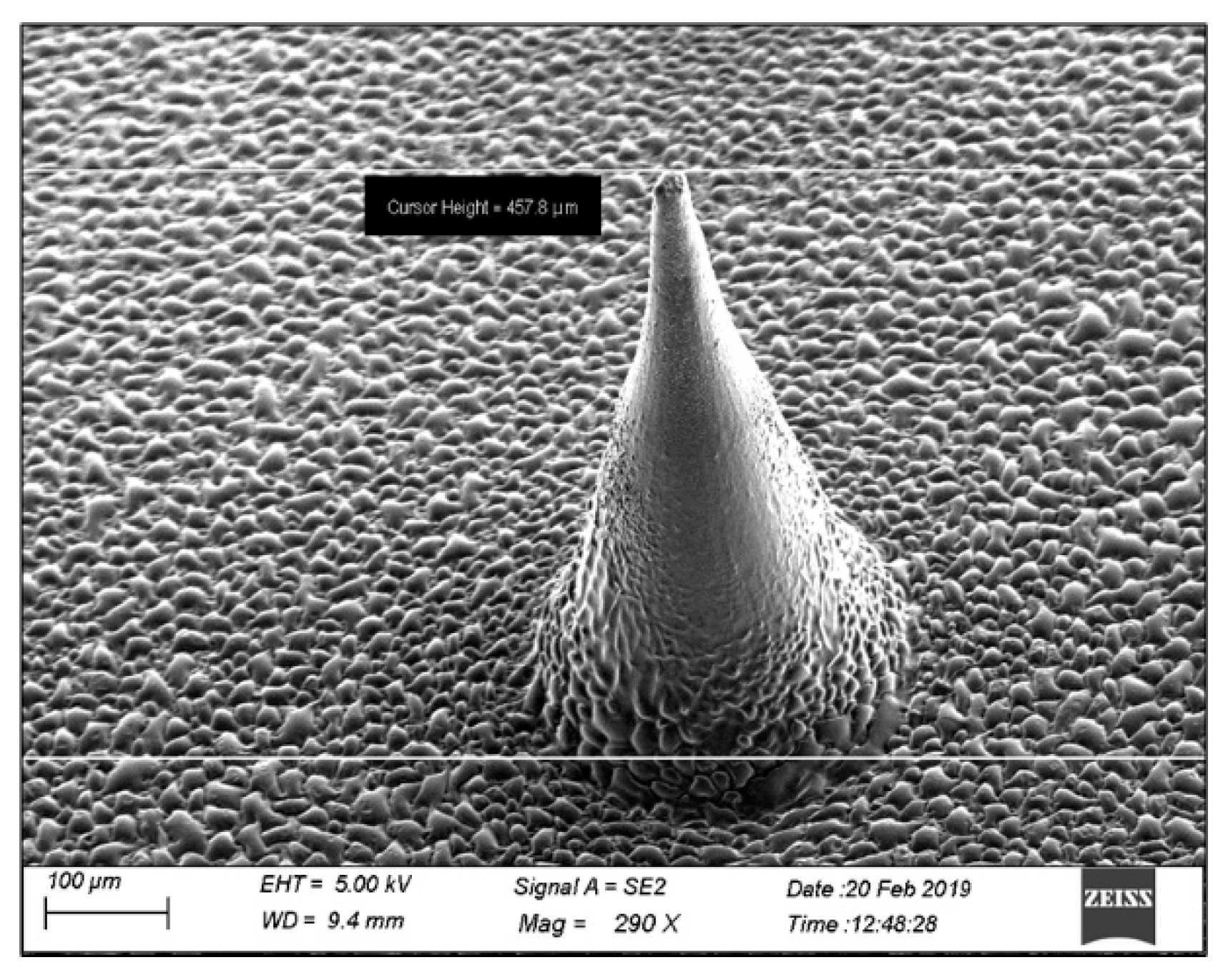 Molecules 27 02349 g003