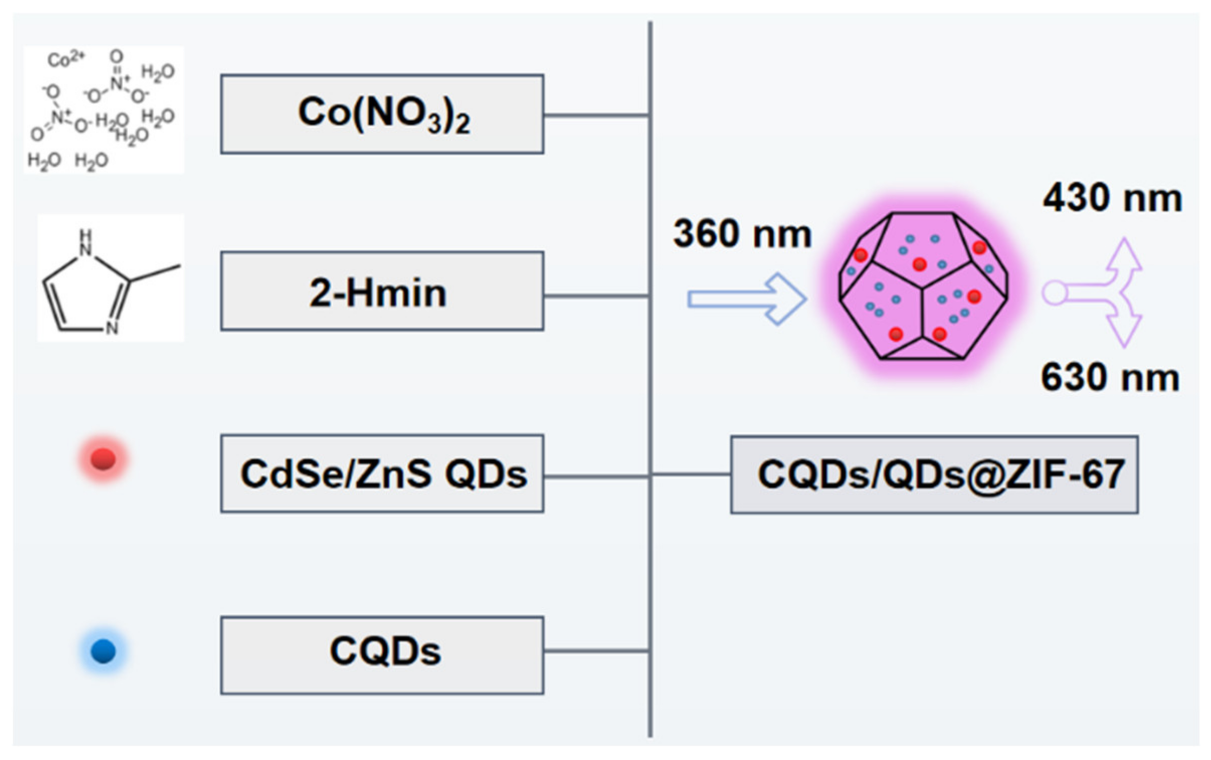 Molecules 27 02356 g001