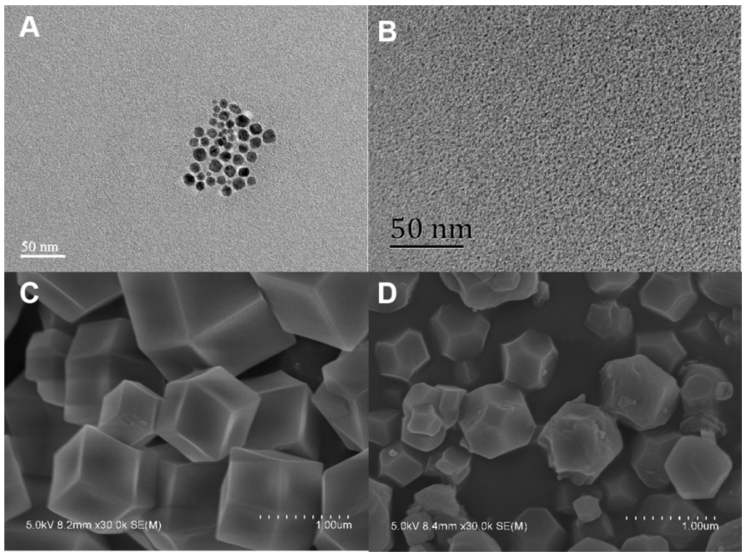 Molecules 27 02356 g003