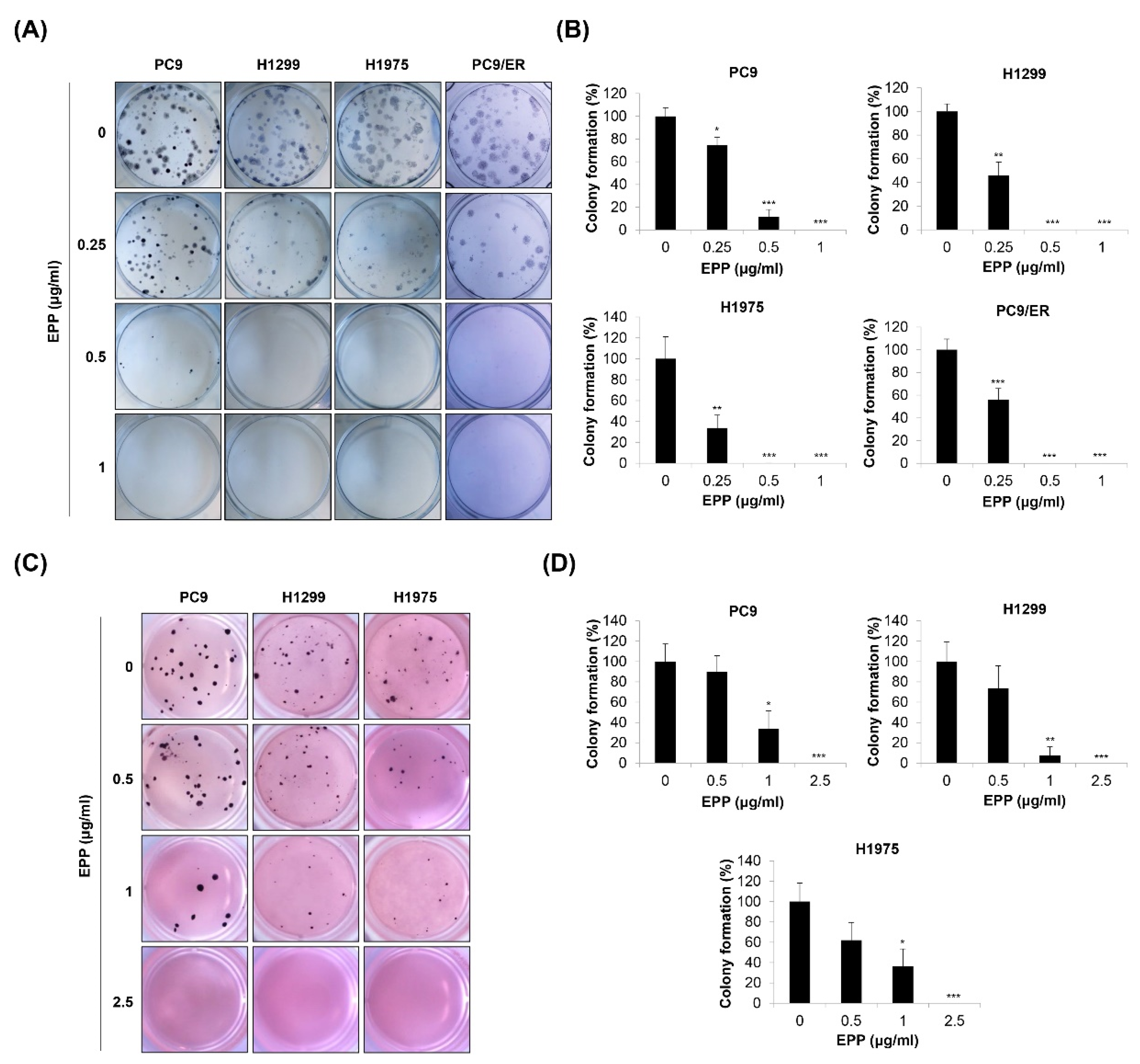 Molecules 27 02360 g002