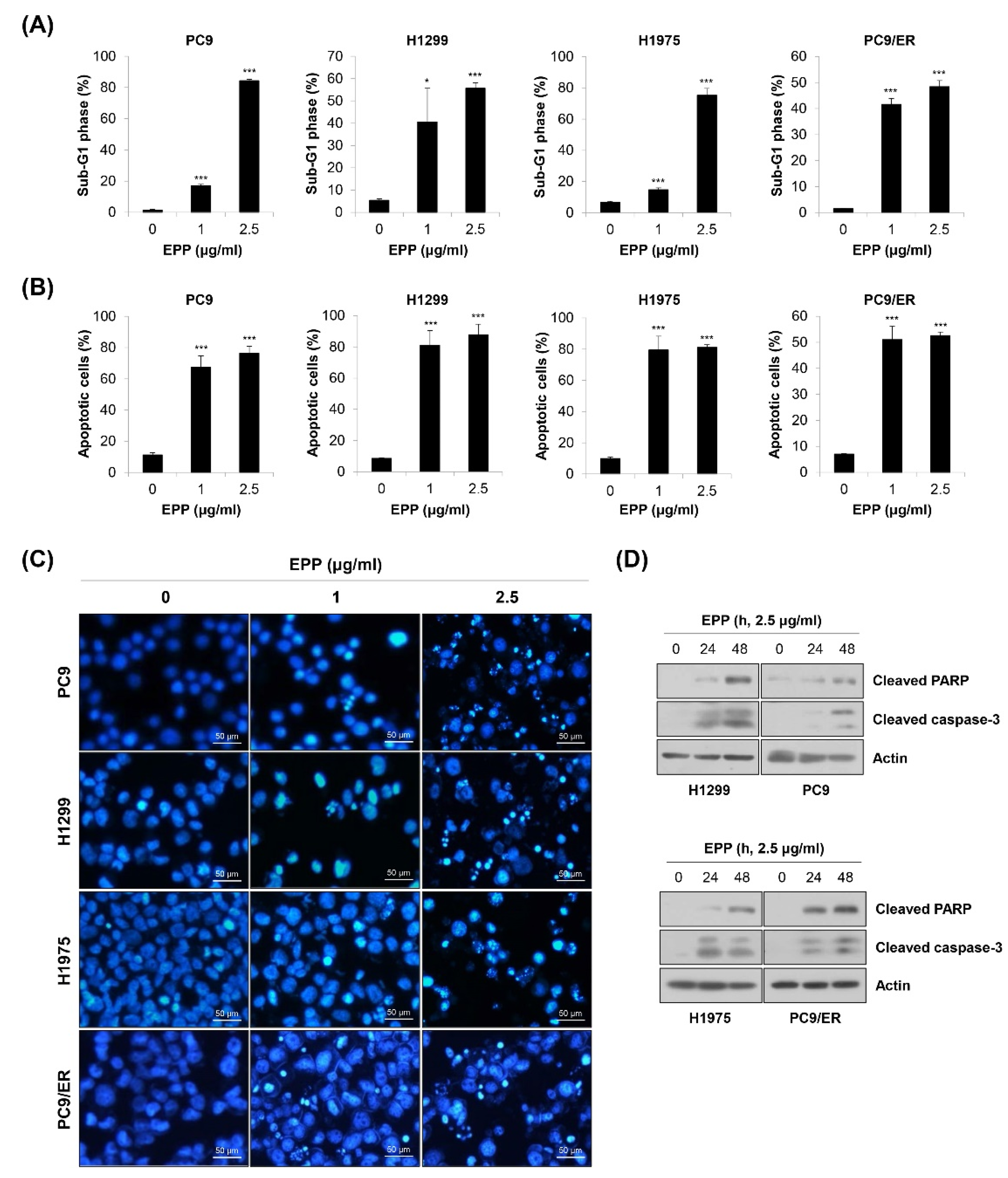 Molecules 27 02360 g003