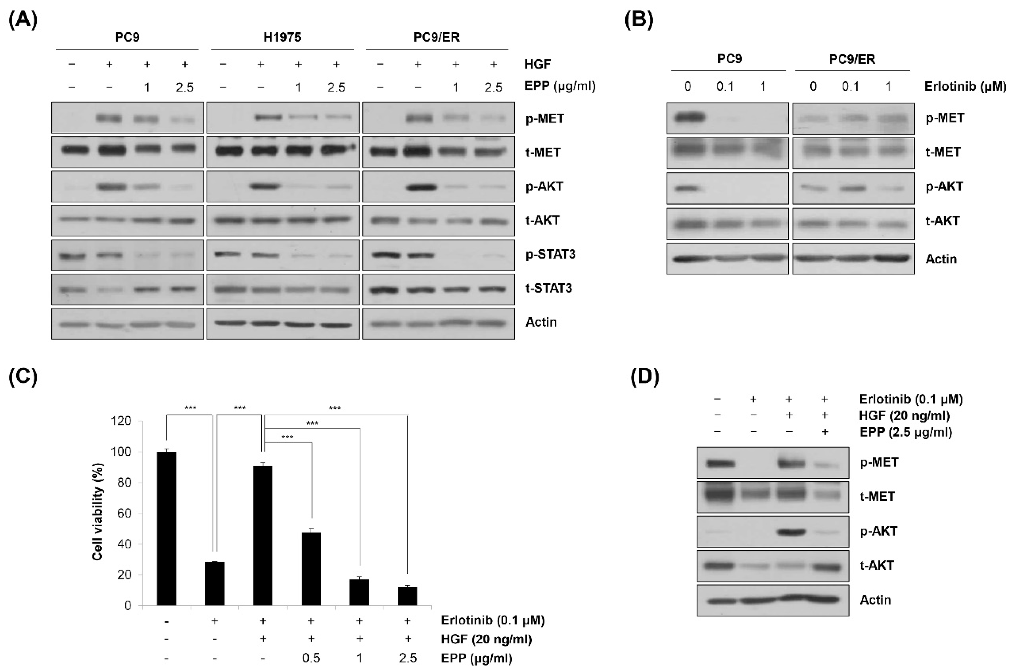 Molecules 27 02360 g005