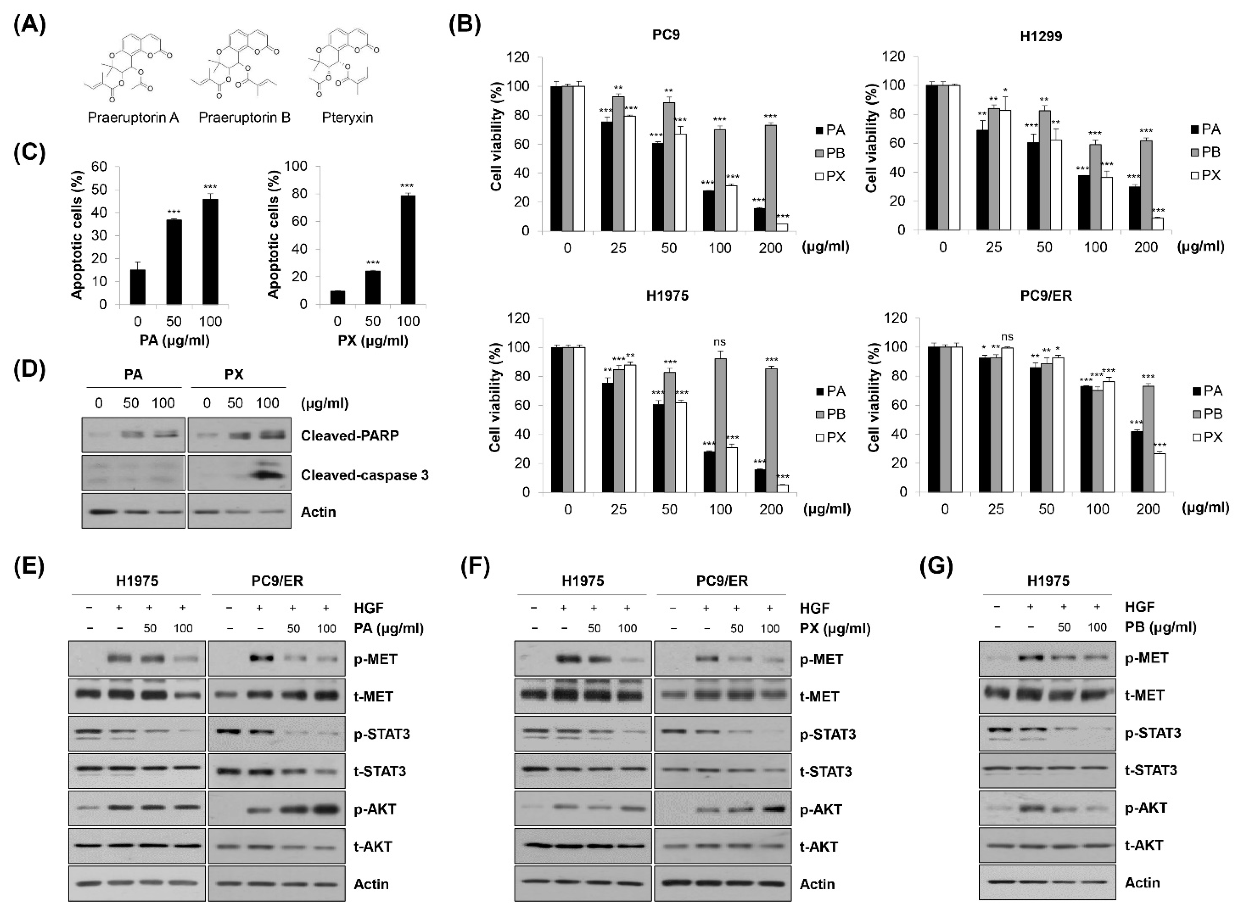 Molecules 27 02360 g006