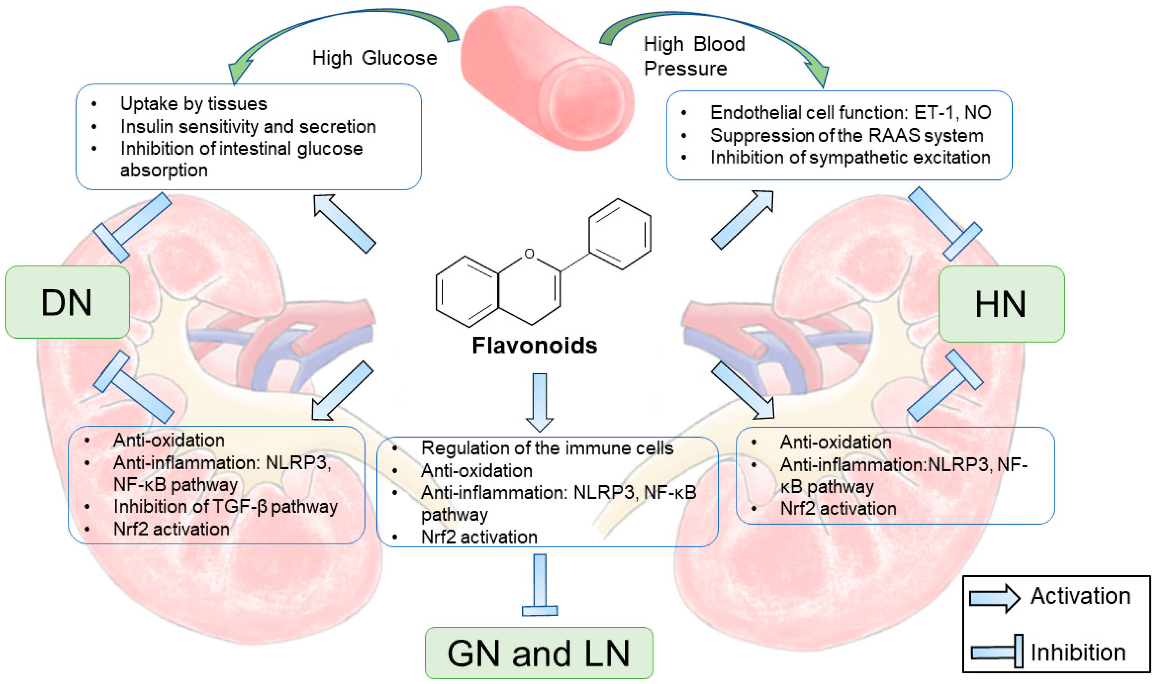 Molecules 27 02365 g003