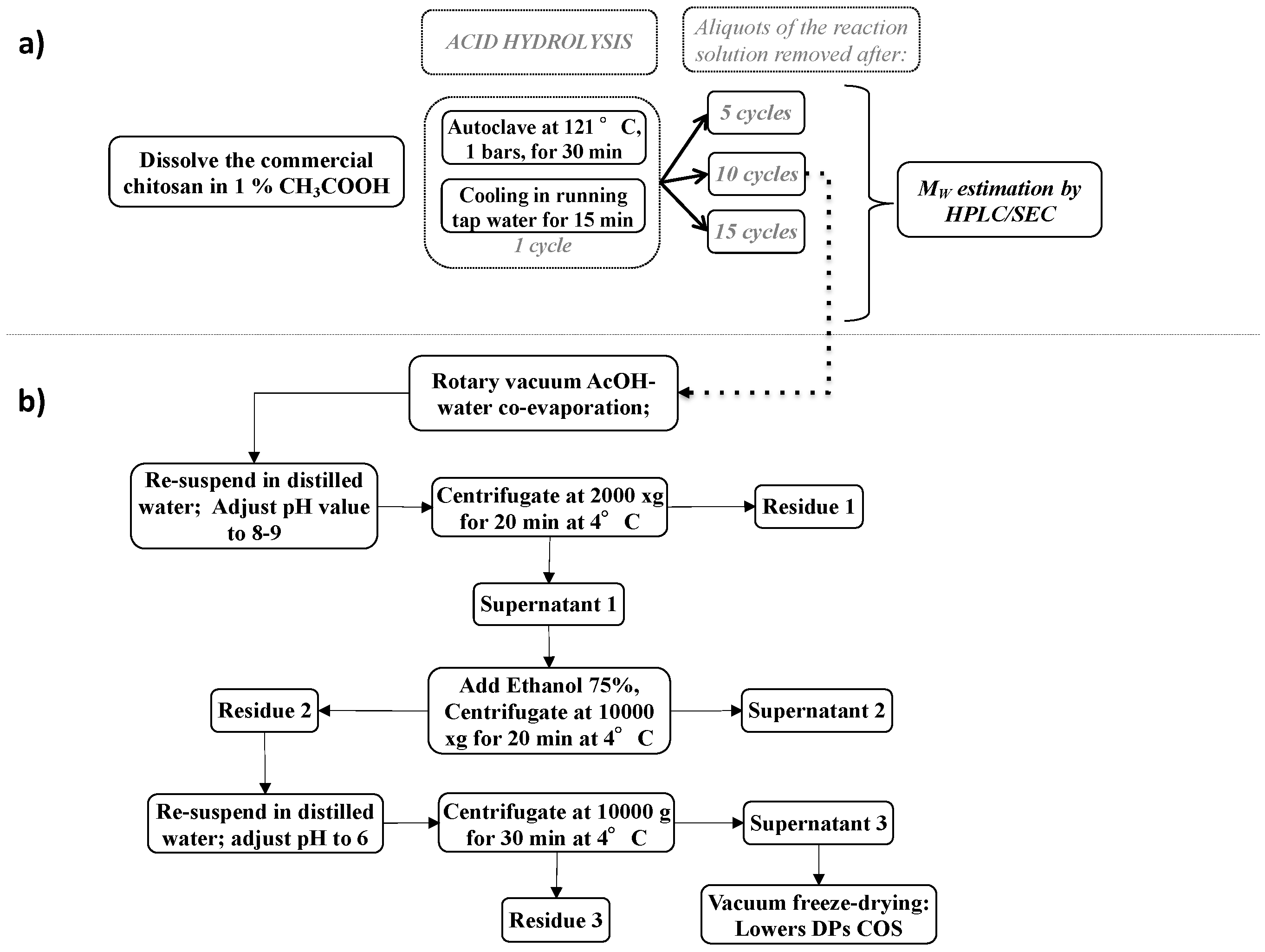 Molecules 27 02372 g001