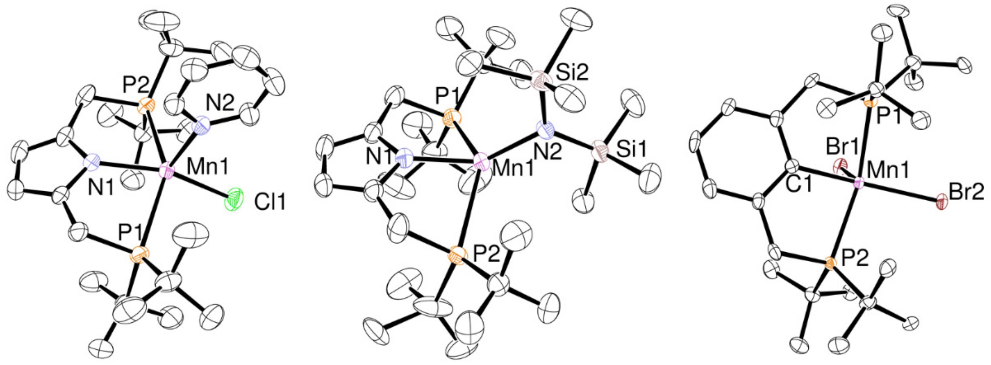 Molecules 27 02373 g001