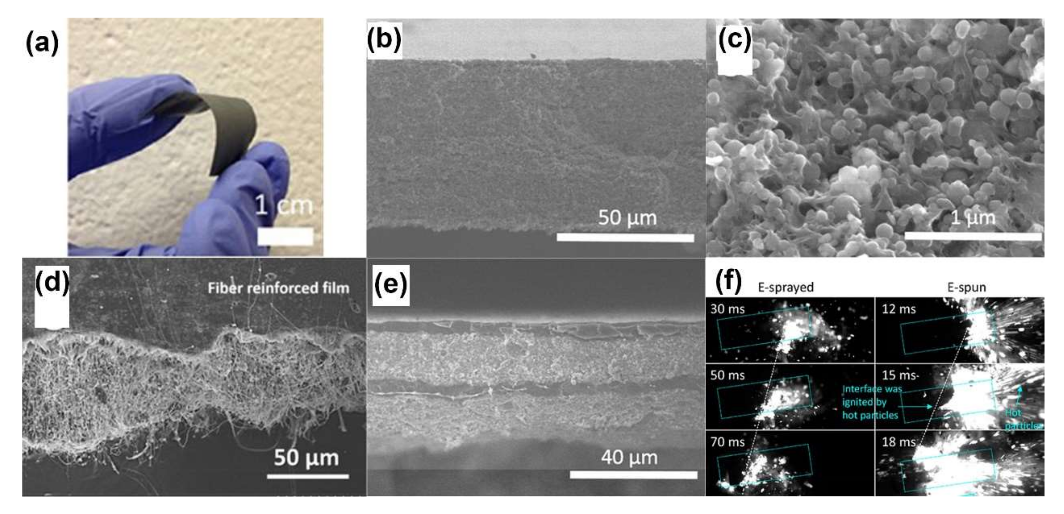 Molecules 27 02374 g005 Molecules 27 02374 g005