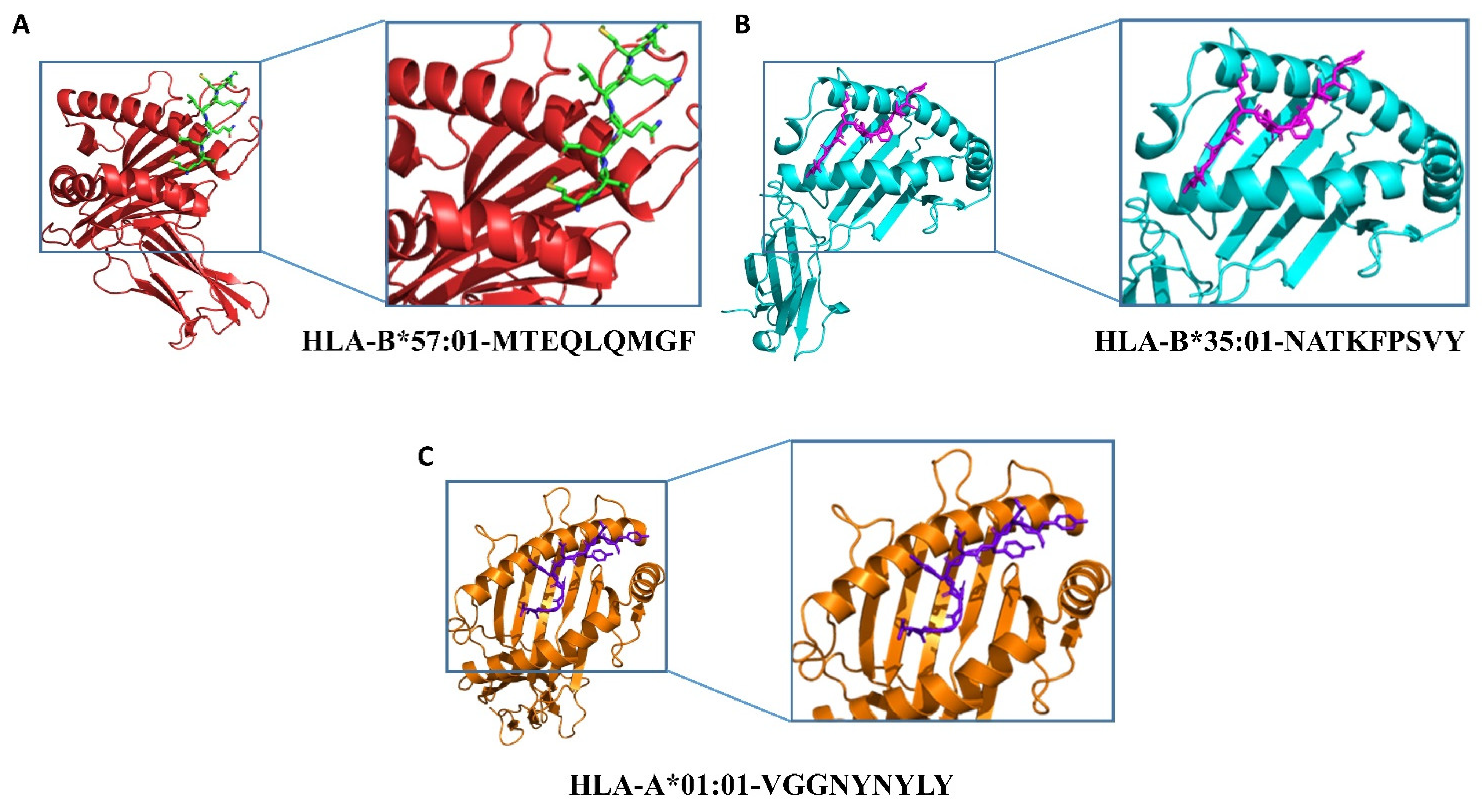 Molecules 27 02375 g001