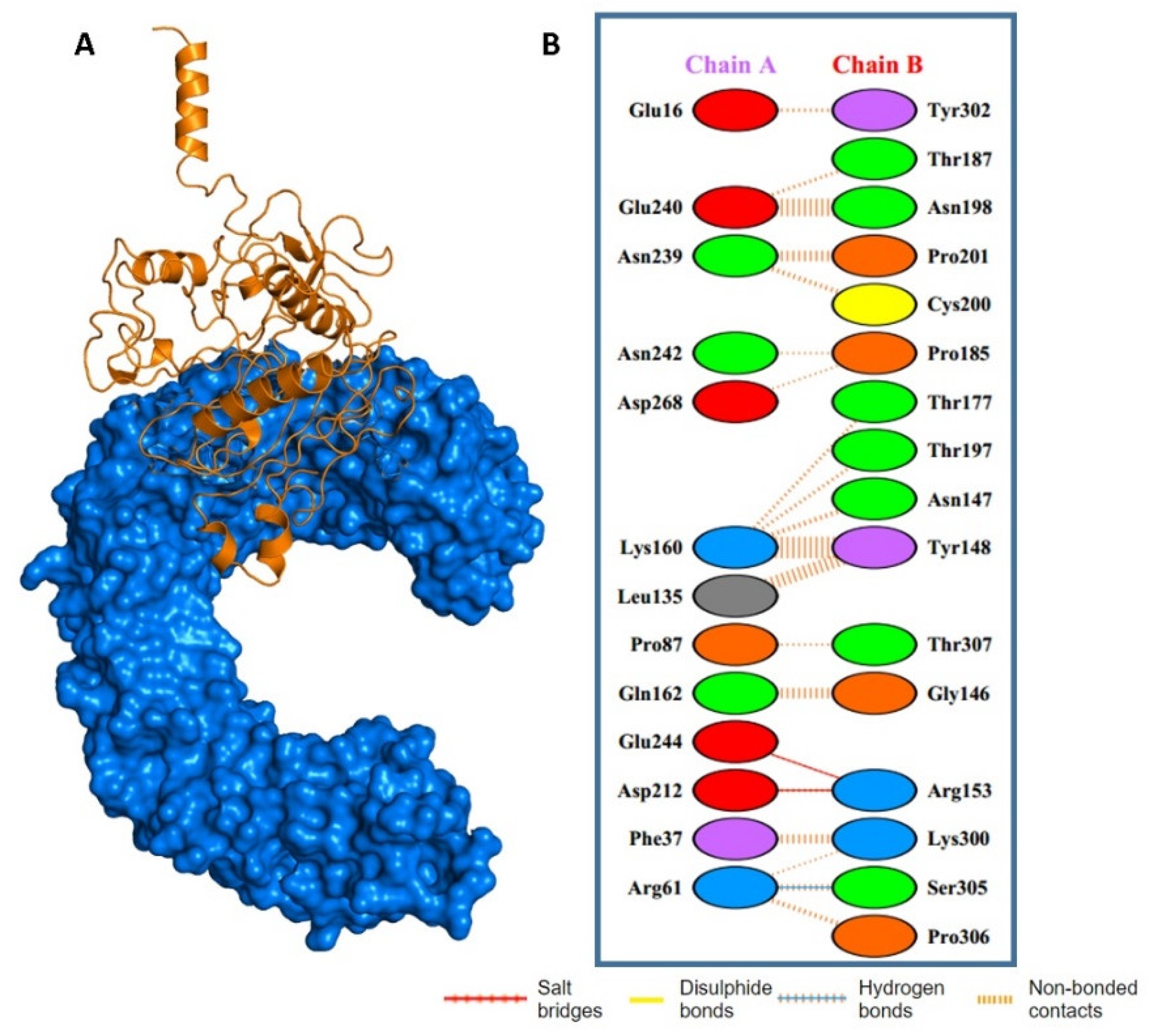 Molecules 27 02375 g006
