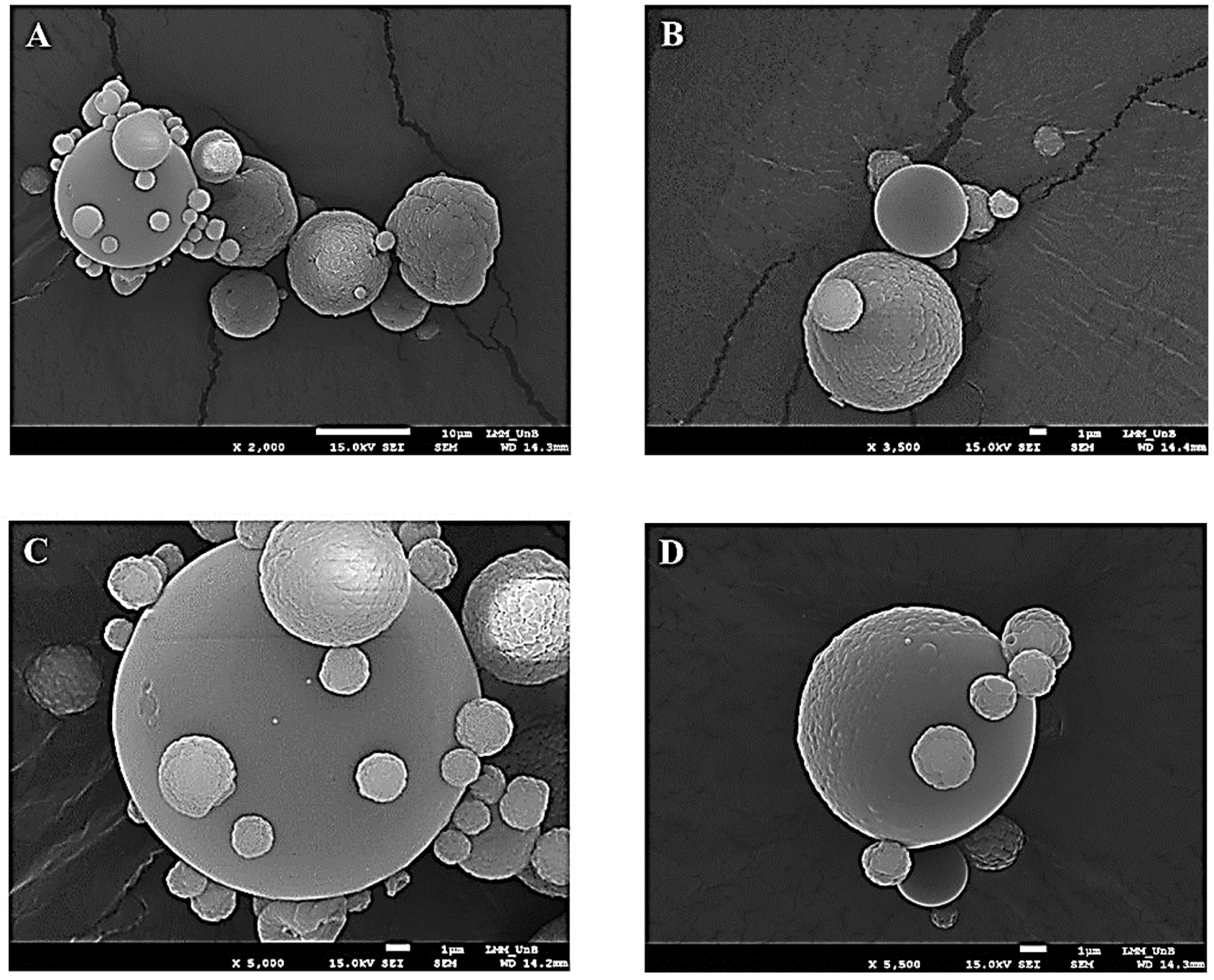 Molecules 27 02382 g001