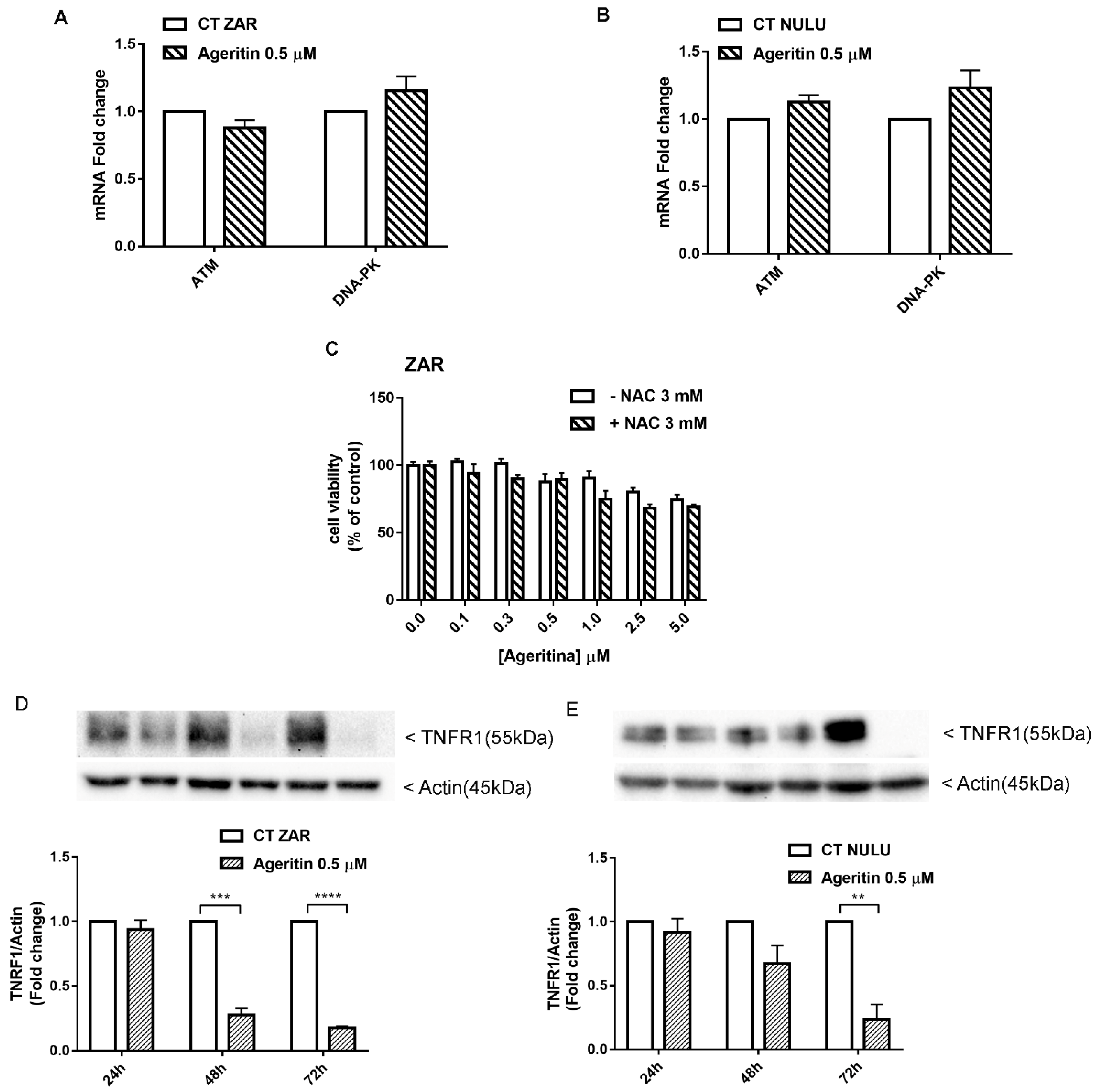 Molecules 27 02385 g006