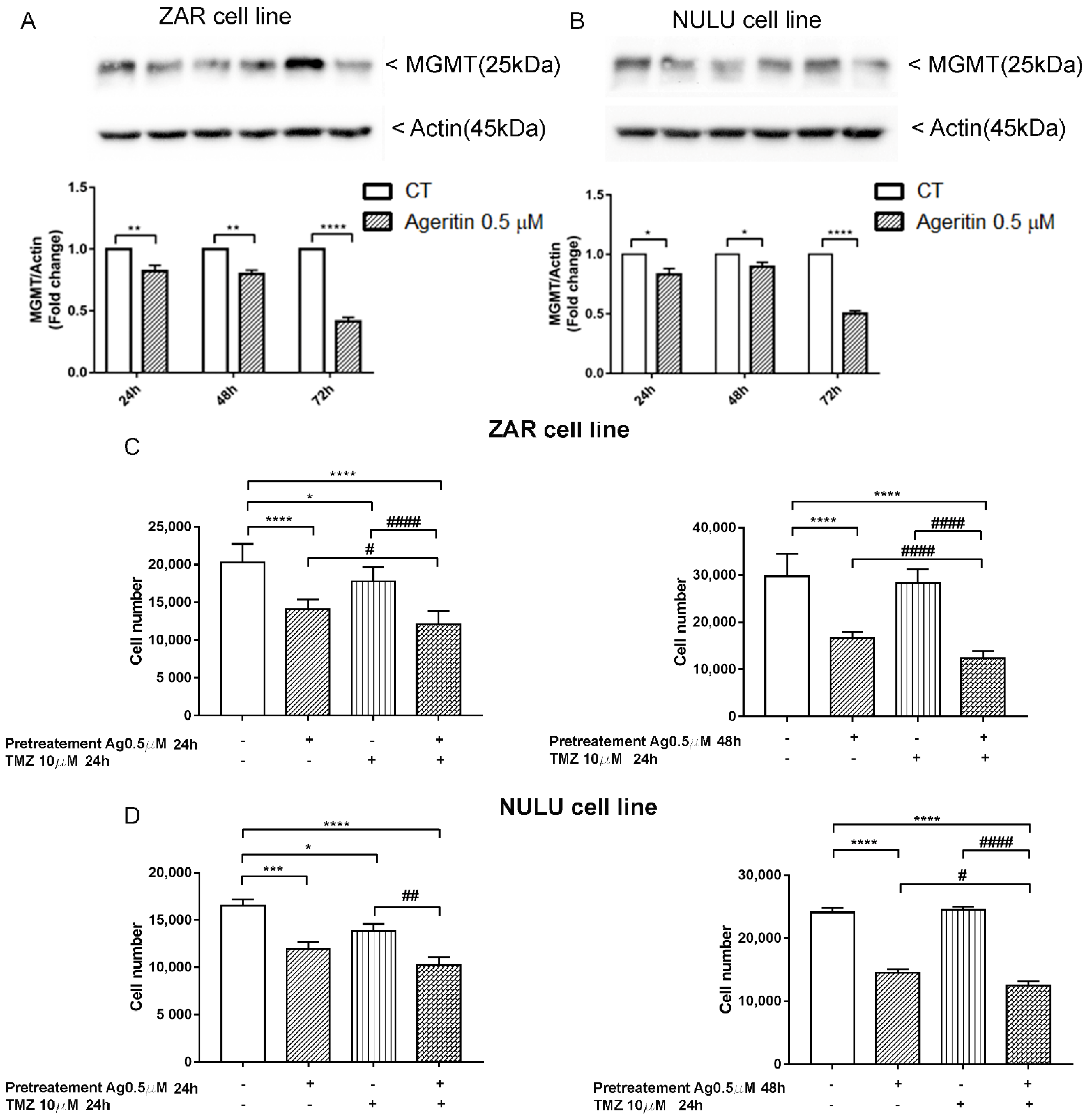Molecules 27 02385 g007