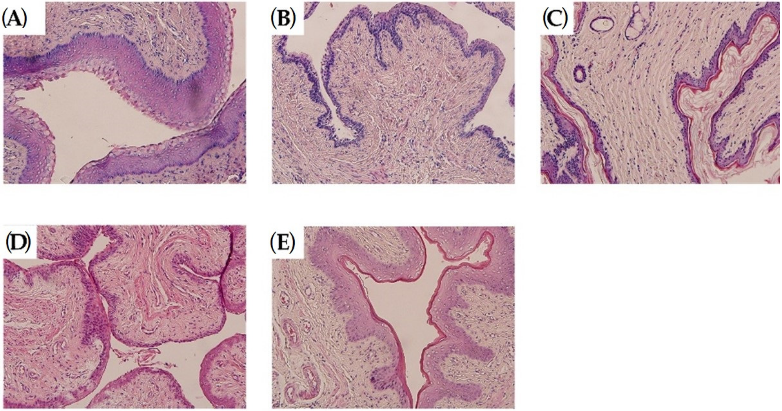 Molecules 27 02388 g002