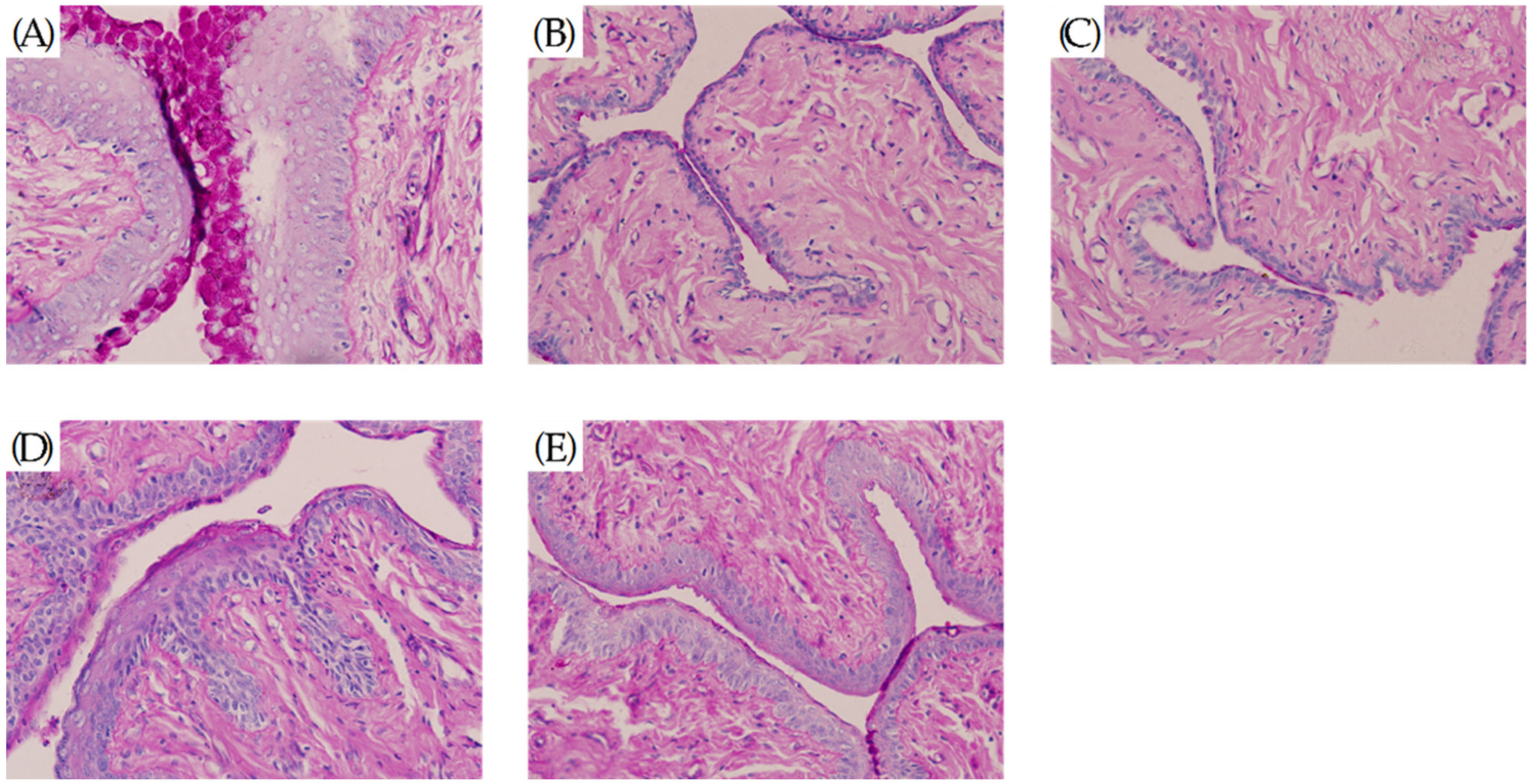 Molecules 27 02388 g007