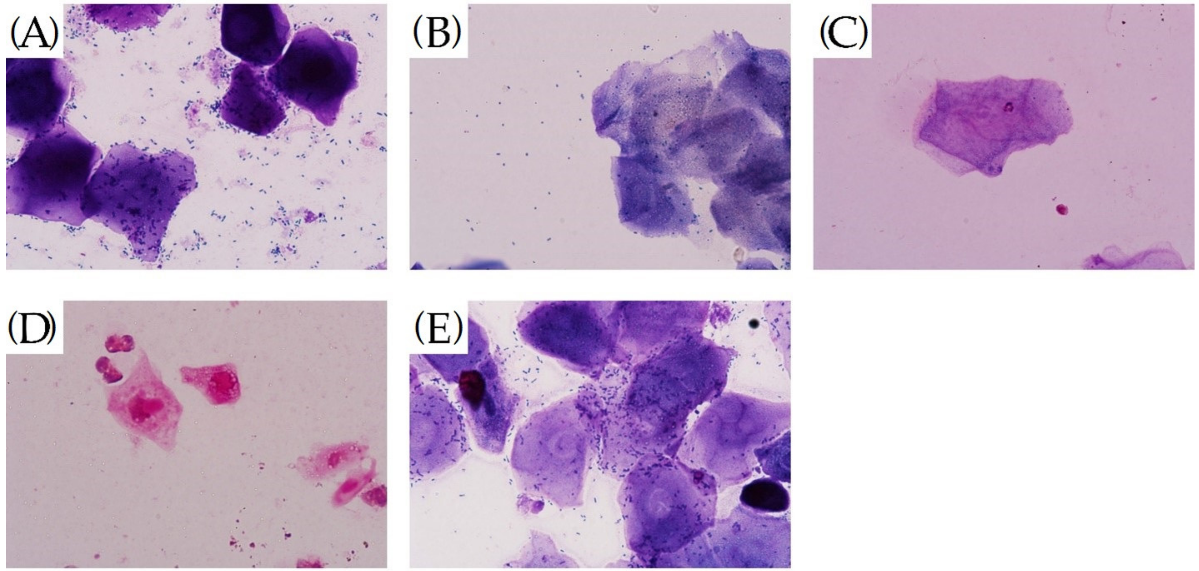 Molecules 27 02388 g008