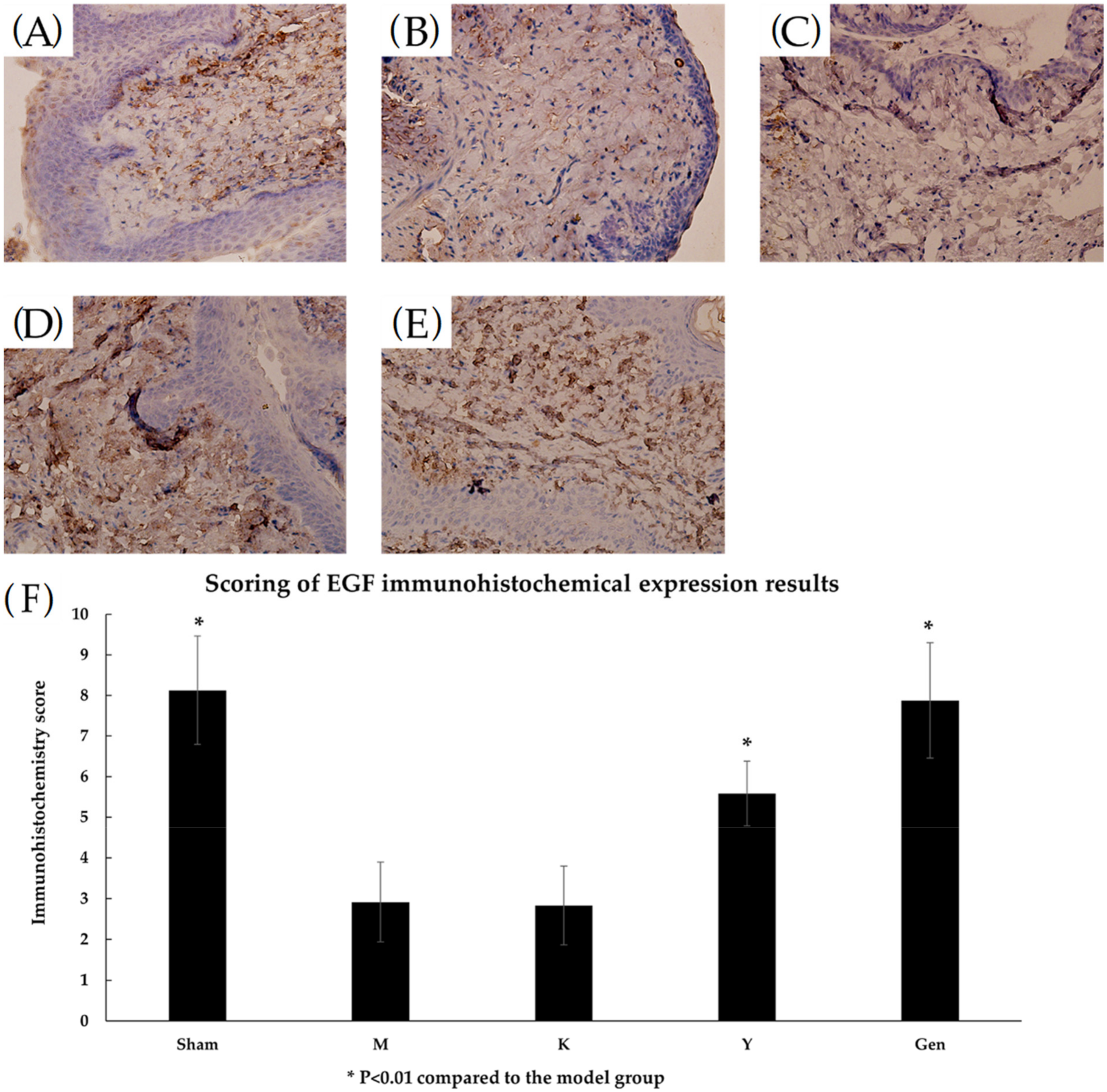 Molecules 27 02388 g009
