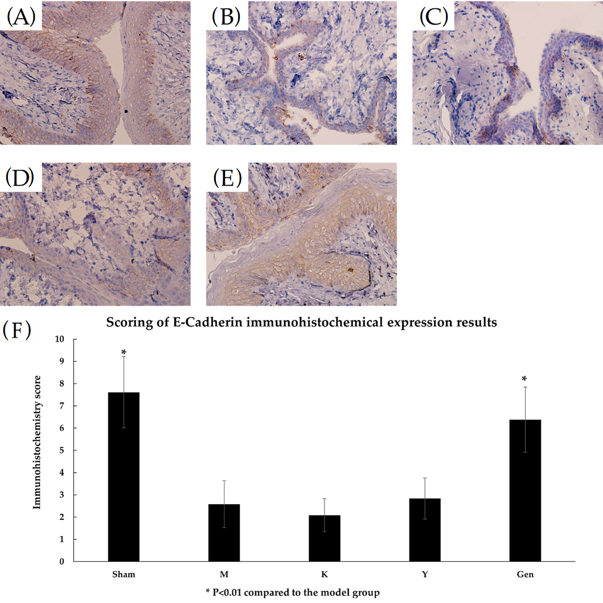 Molecules 27 02388 g010