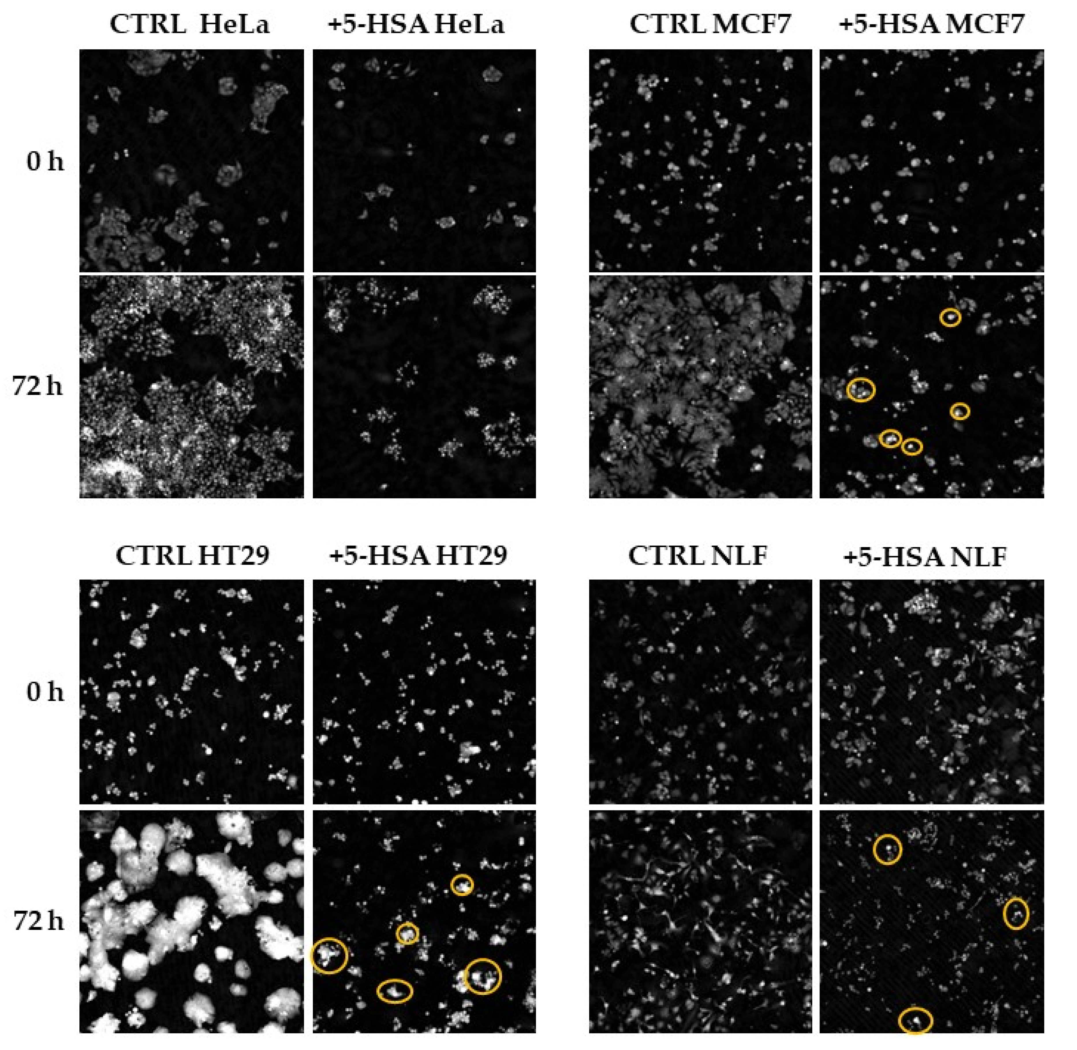 Molecules 27 02396 g002