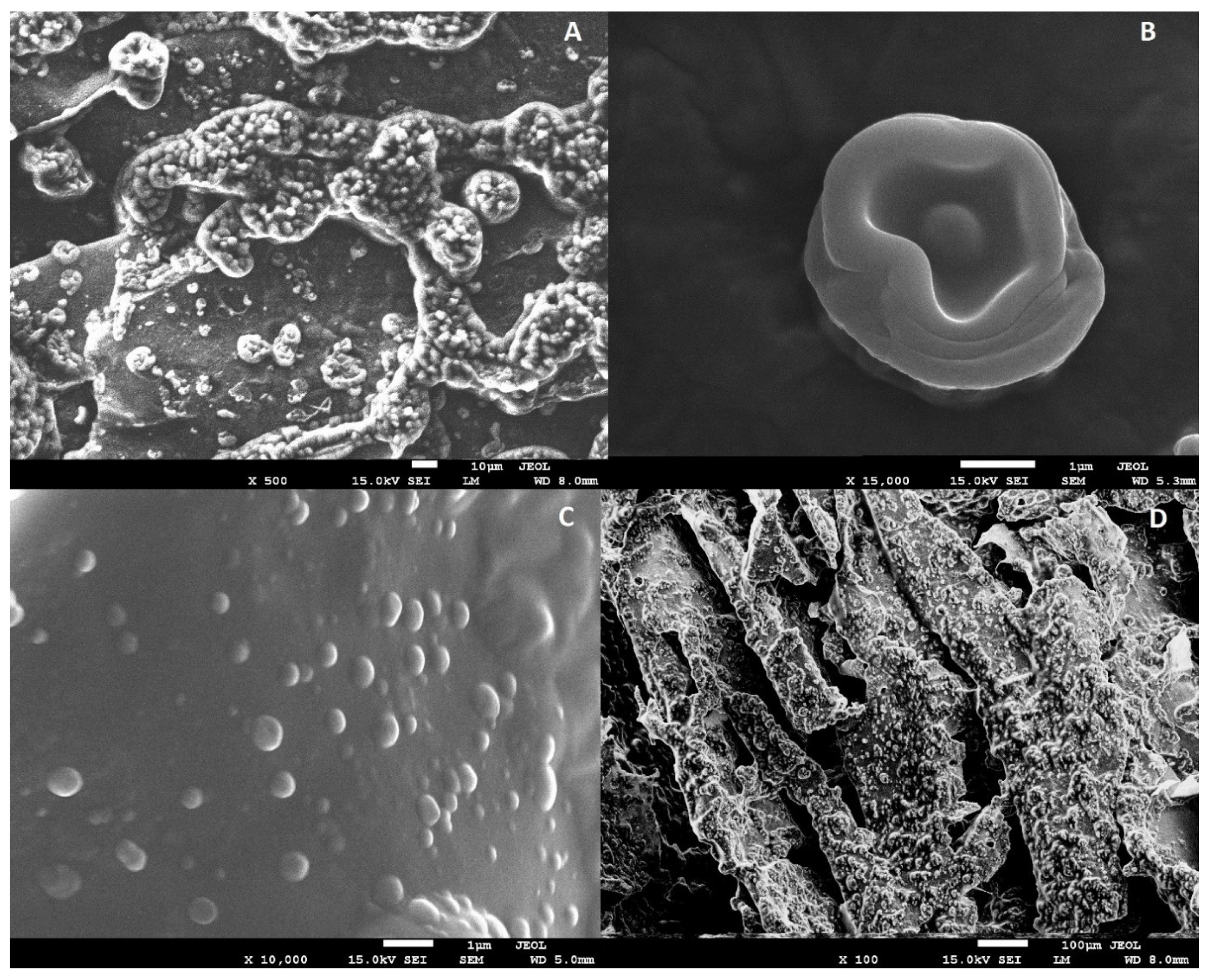 Molecules 27 02397 g002 Molecules 27 02397 g002
