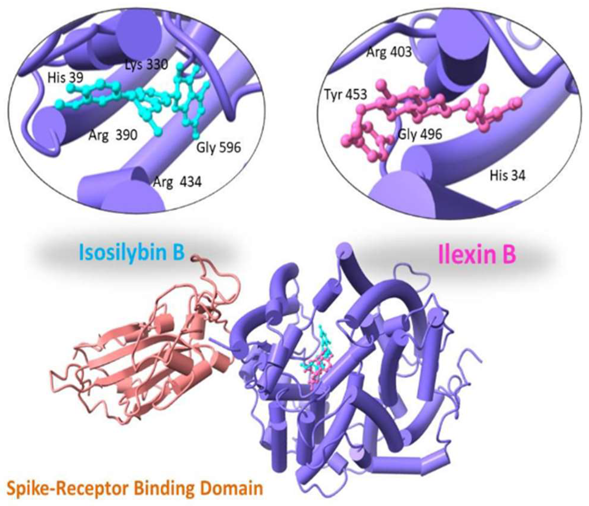 Molecules 27 02401 g003