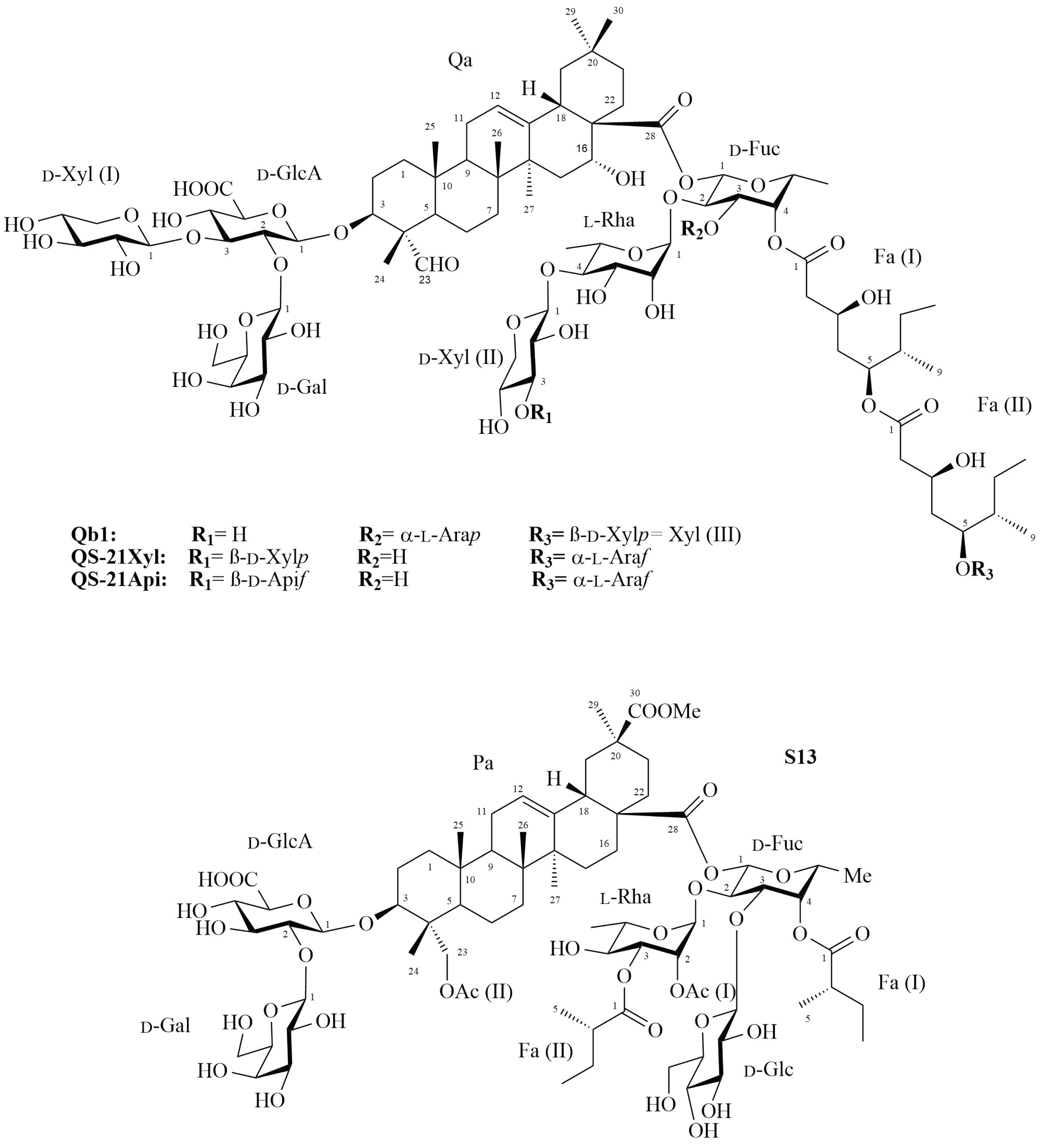 Molecules 27 02402 g001