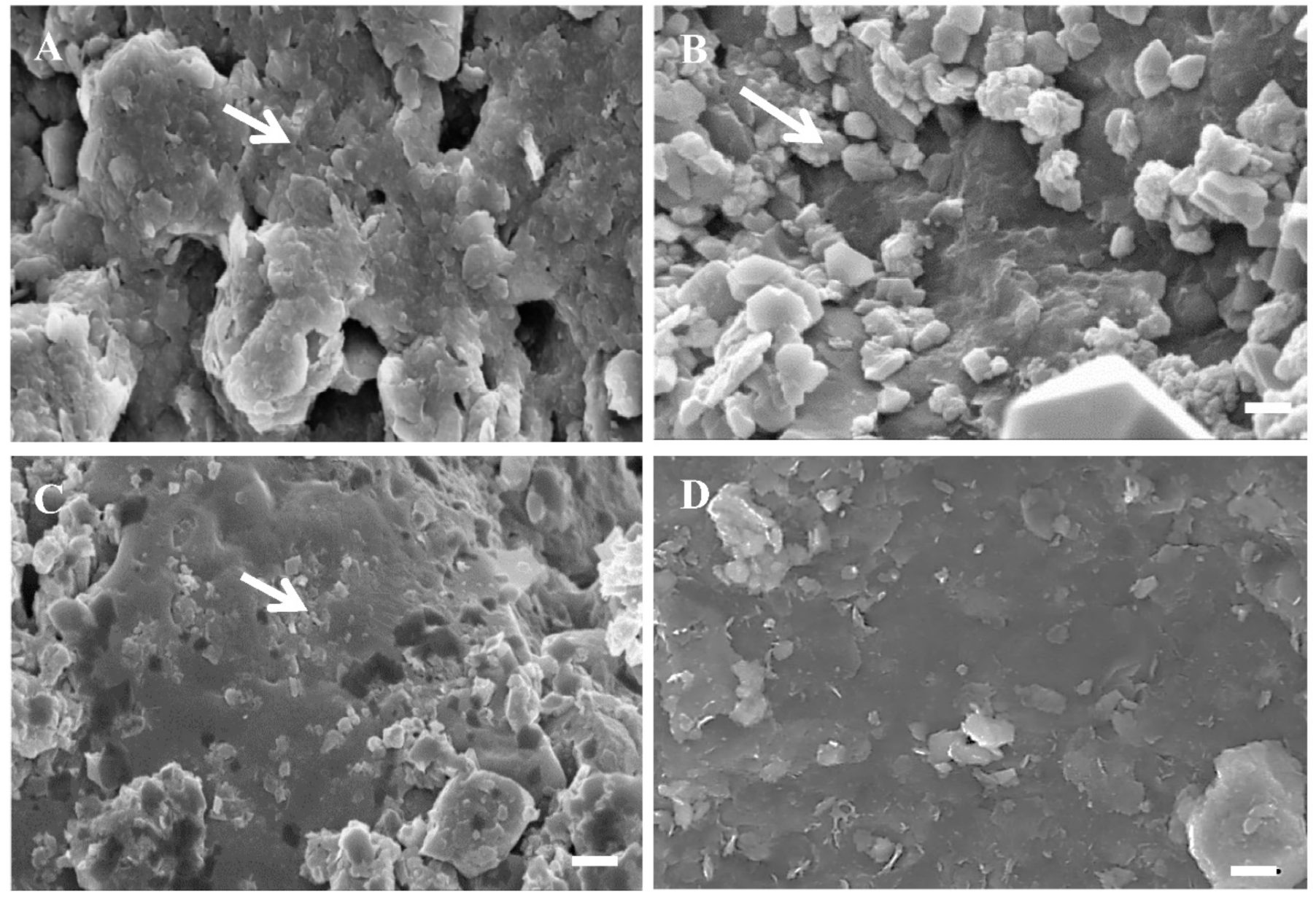 Molecules 27 02408 g003