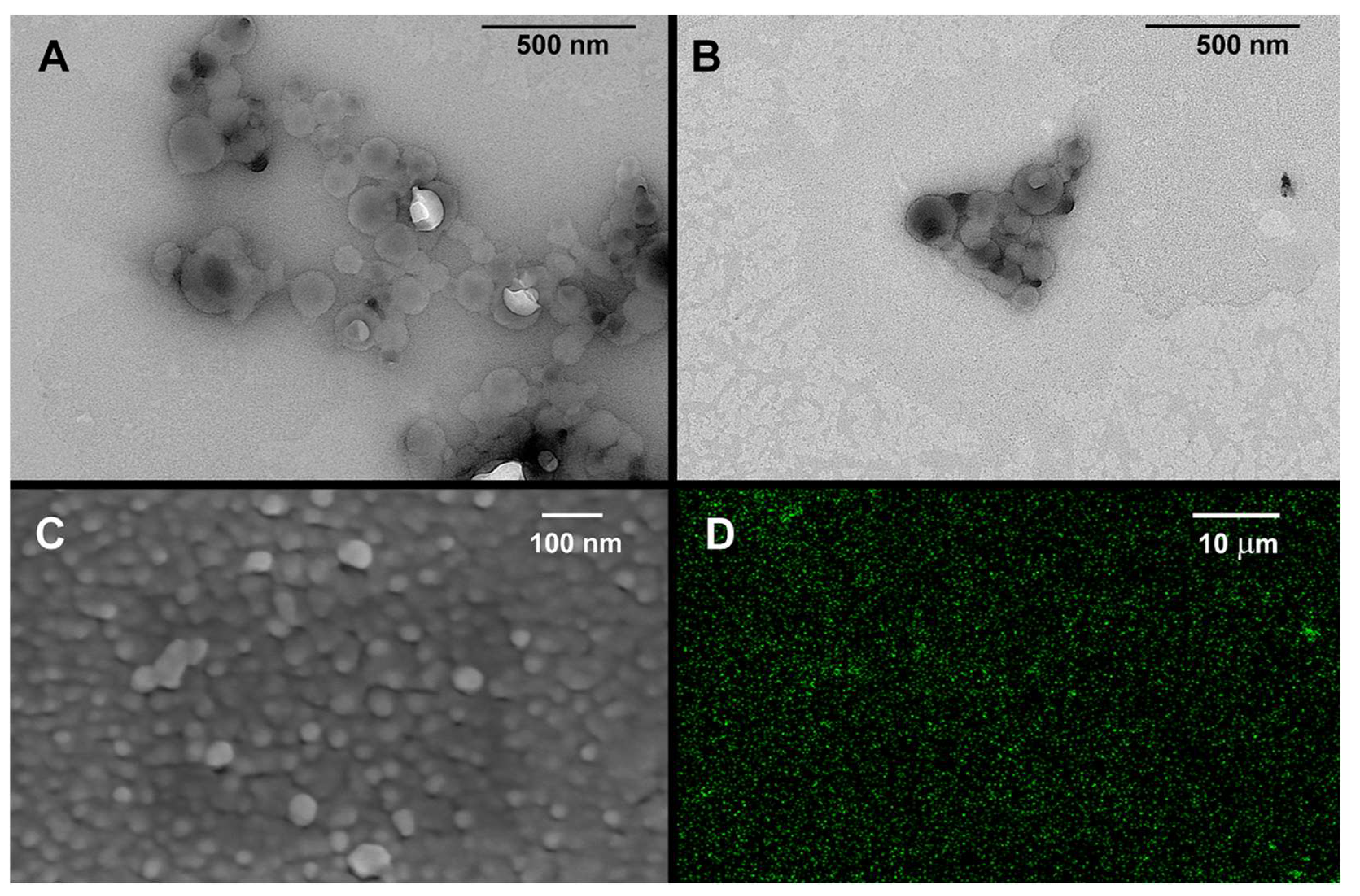 Molecules 27 02436 g003
