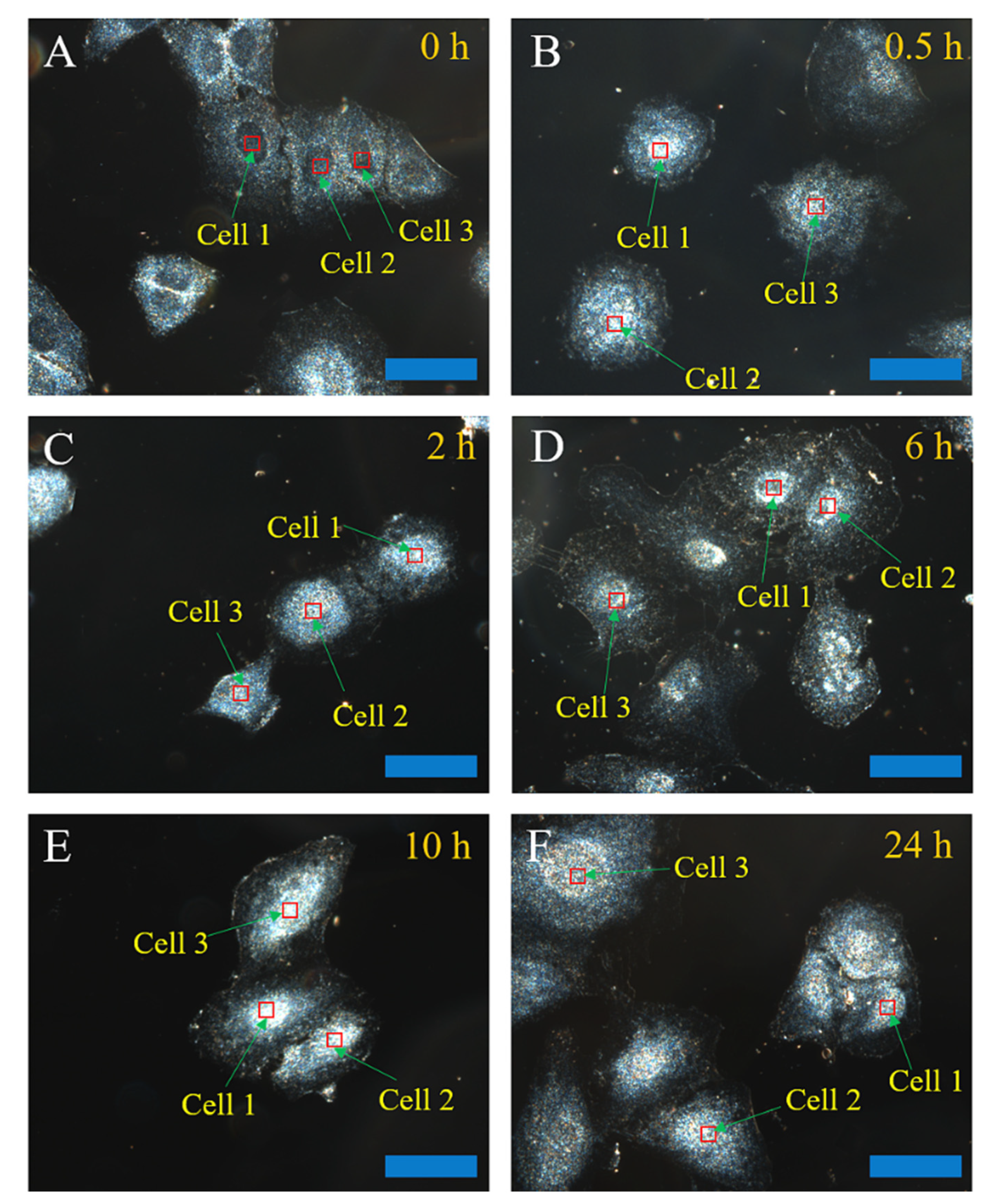 Molecules 27 02437 g002