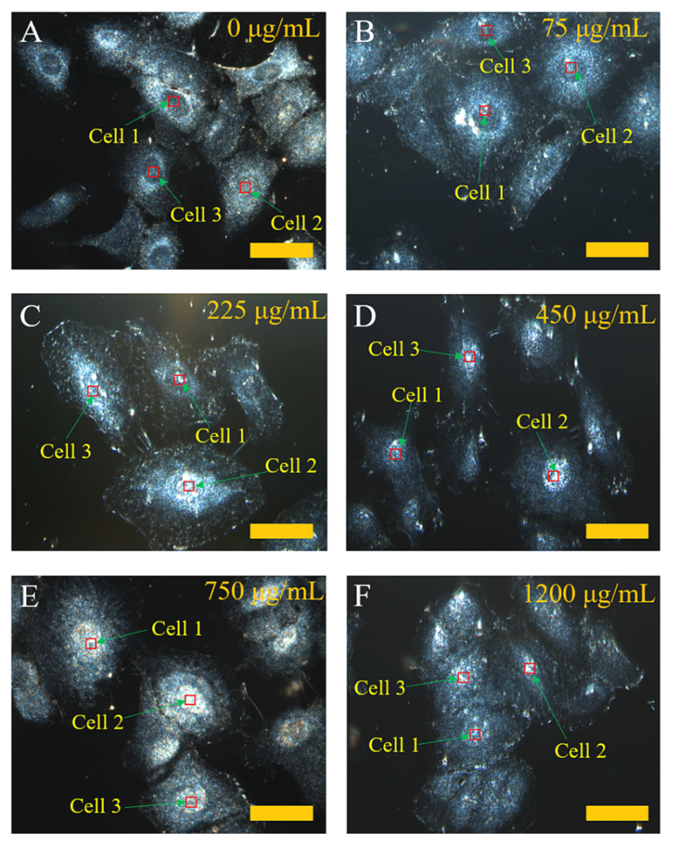 Molecules 27 02437 g005