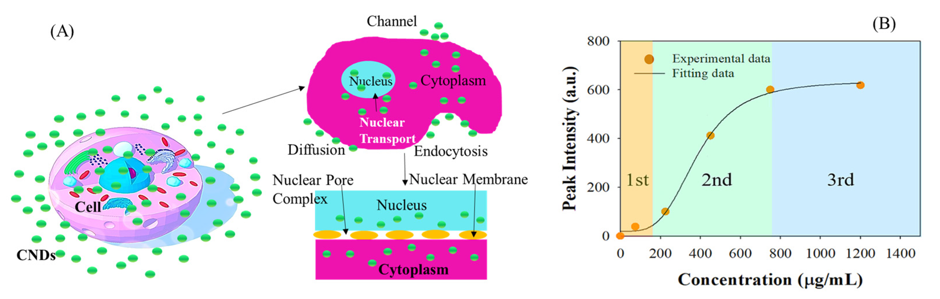 Molecules 27 02437 g008