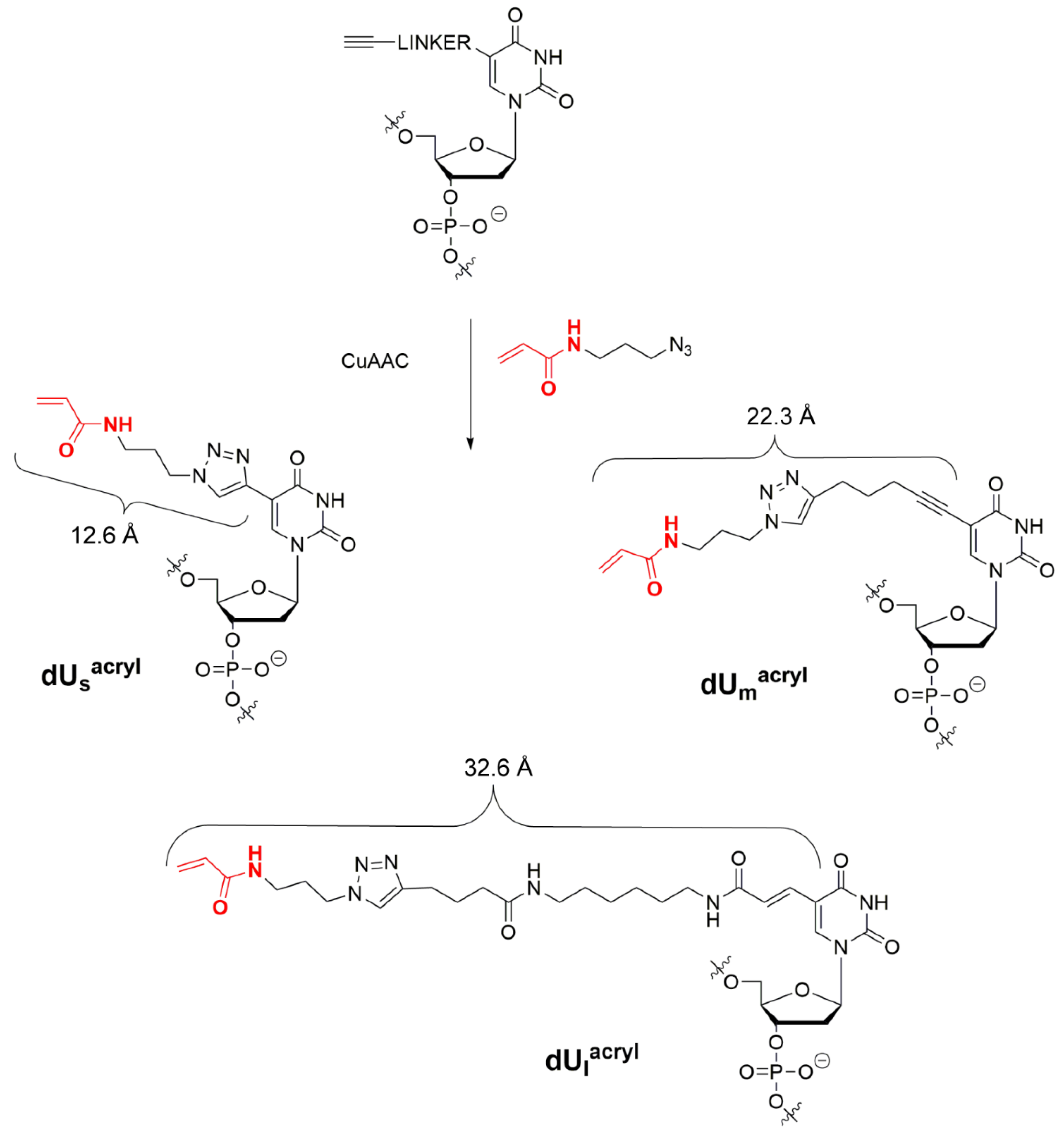 Molecules 27 02438 g003 Molecules 27 02438 g003