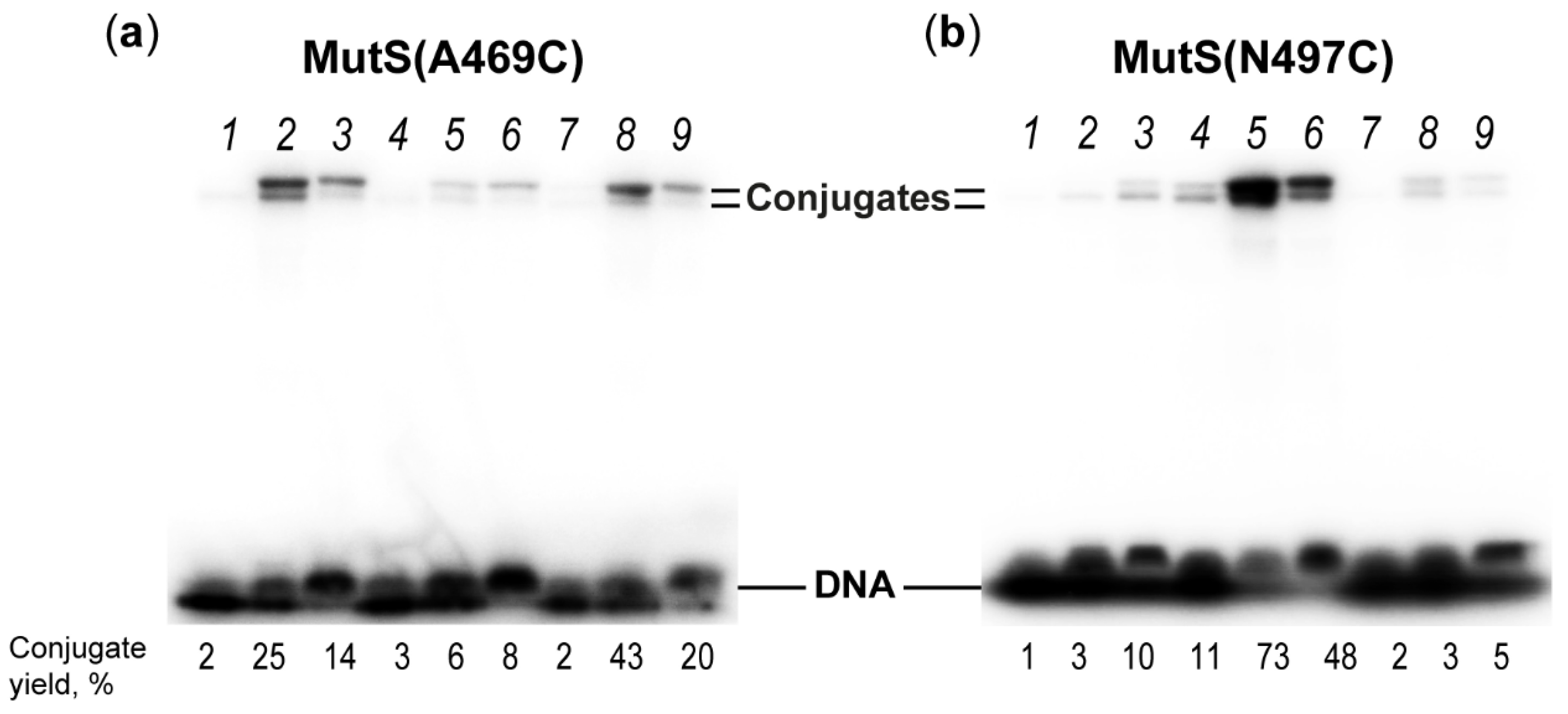 Molecules 27 02438 g006 Molecules 27 02438 g006