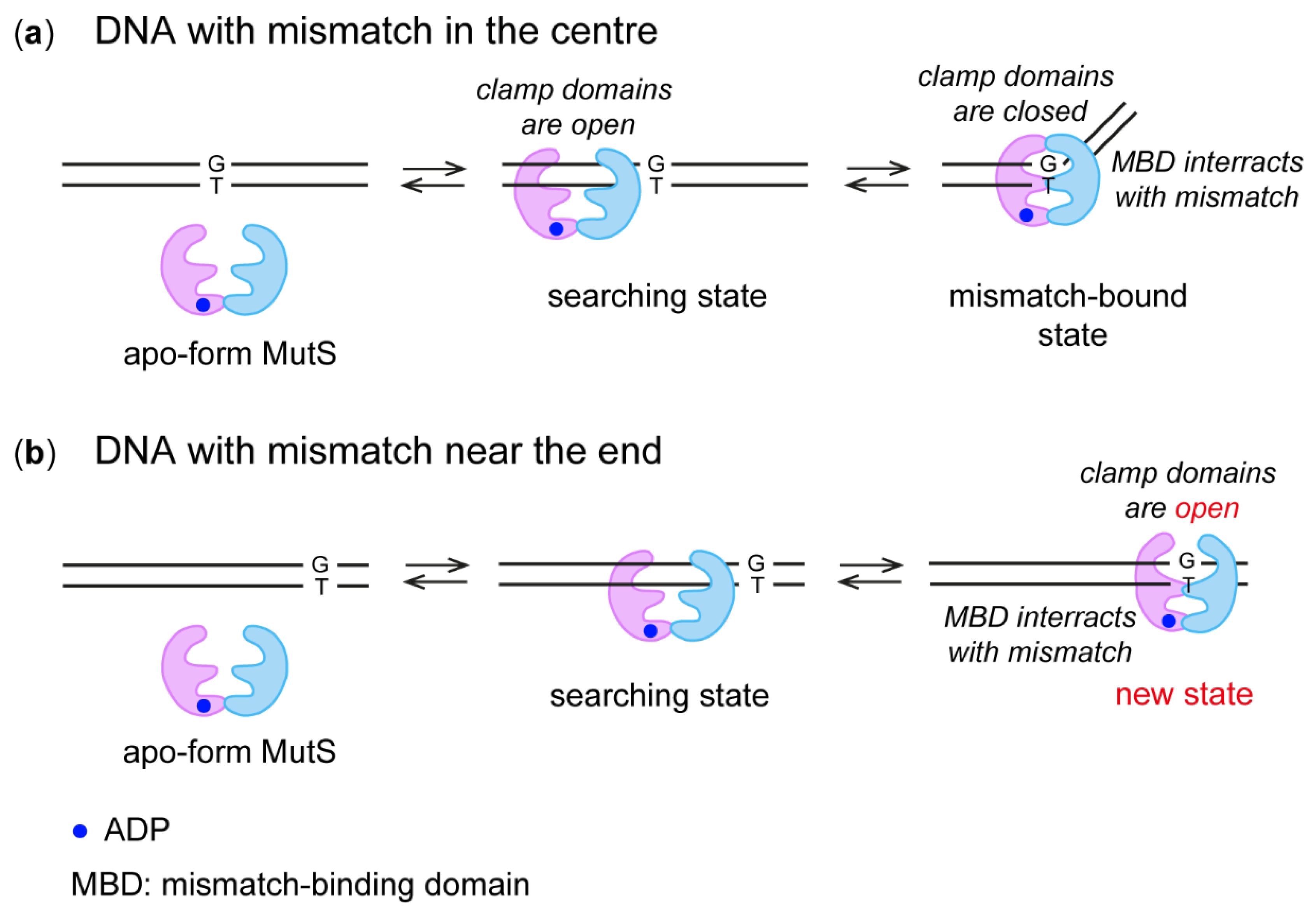 Molecules 27 02438 g008 Molecules 27 02438 g008