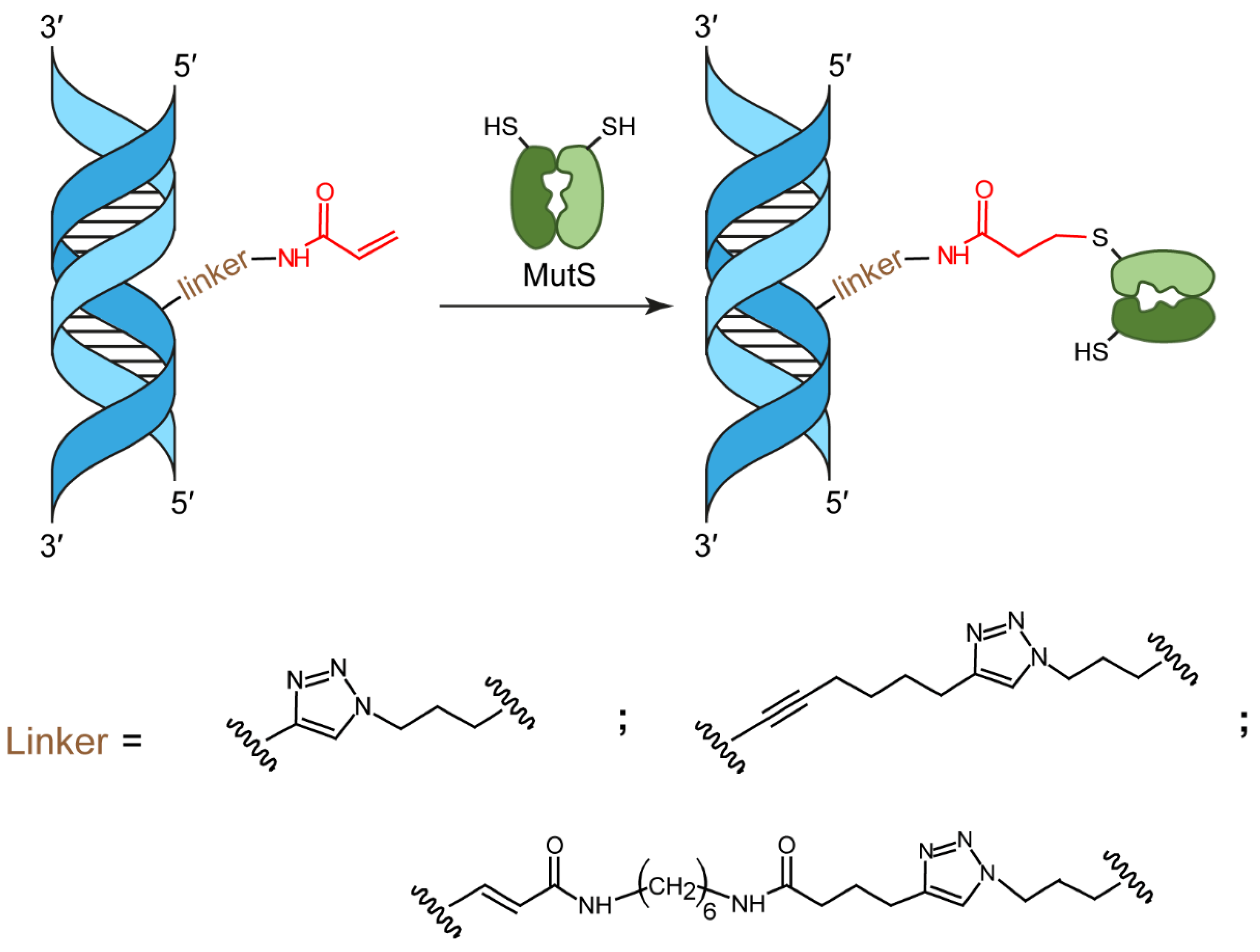 Molecules 27 02438 sch001 Molecules 27 02438 sch001