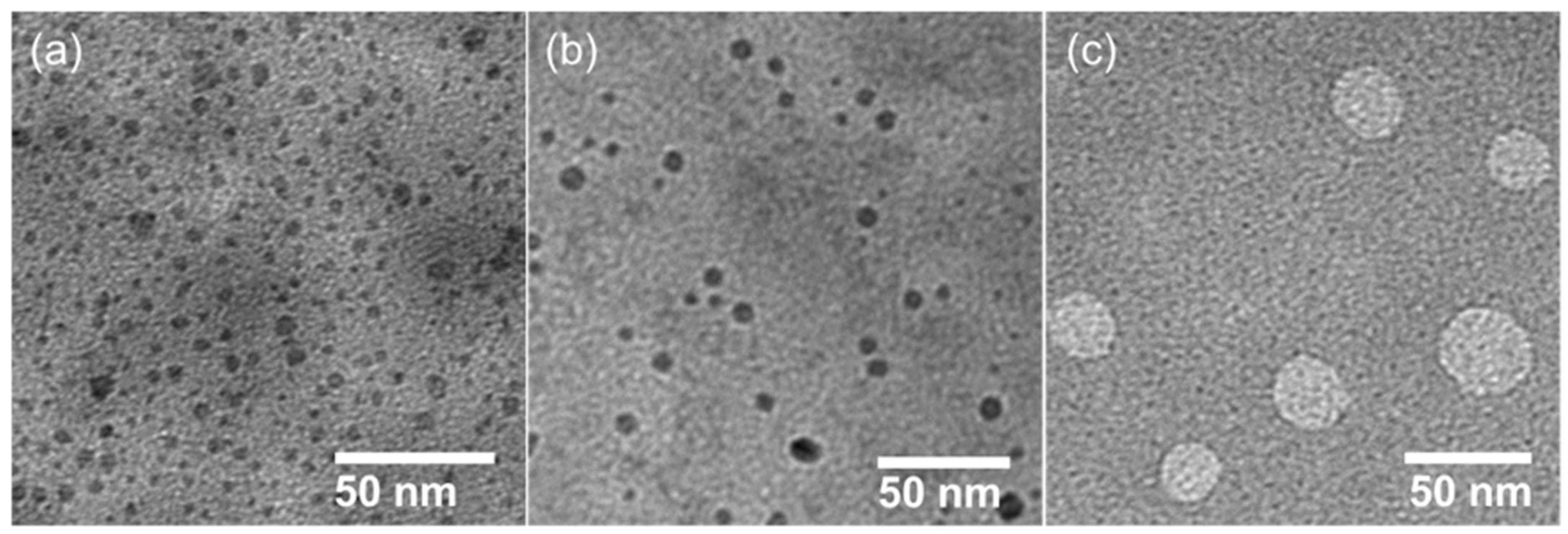 Molecules 27 02441 g002 Molecules 27 02441 g002