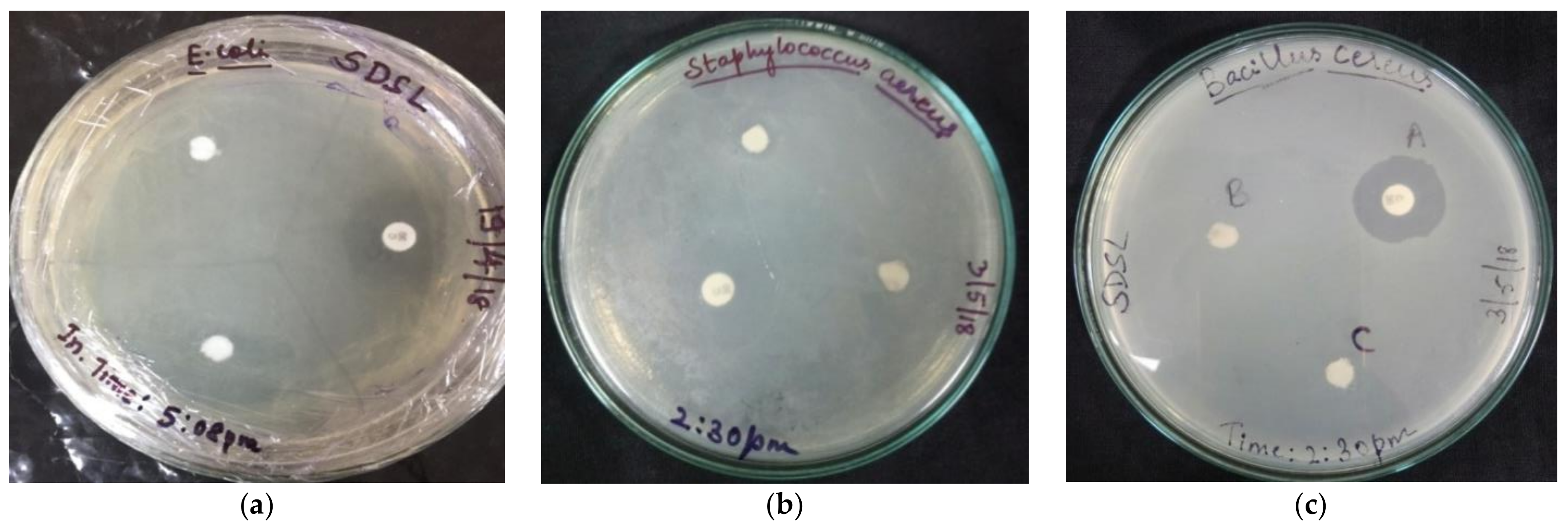 Molecules 27 02442 g008