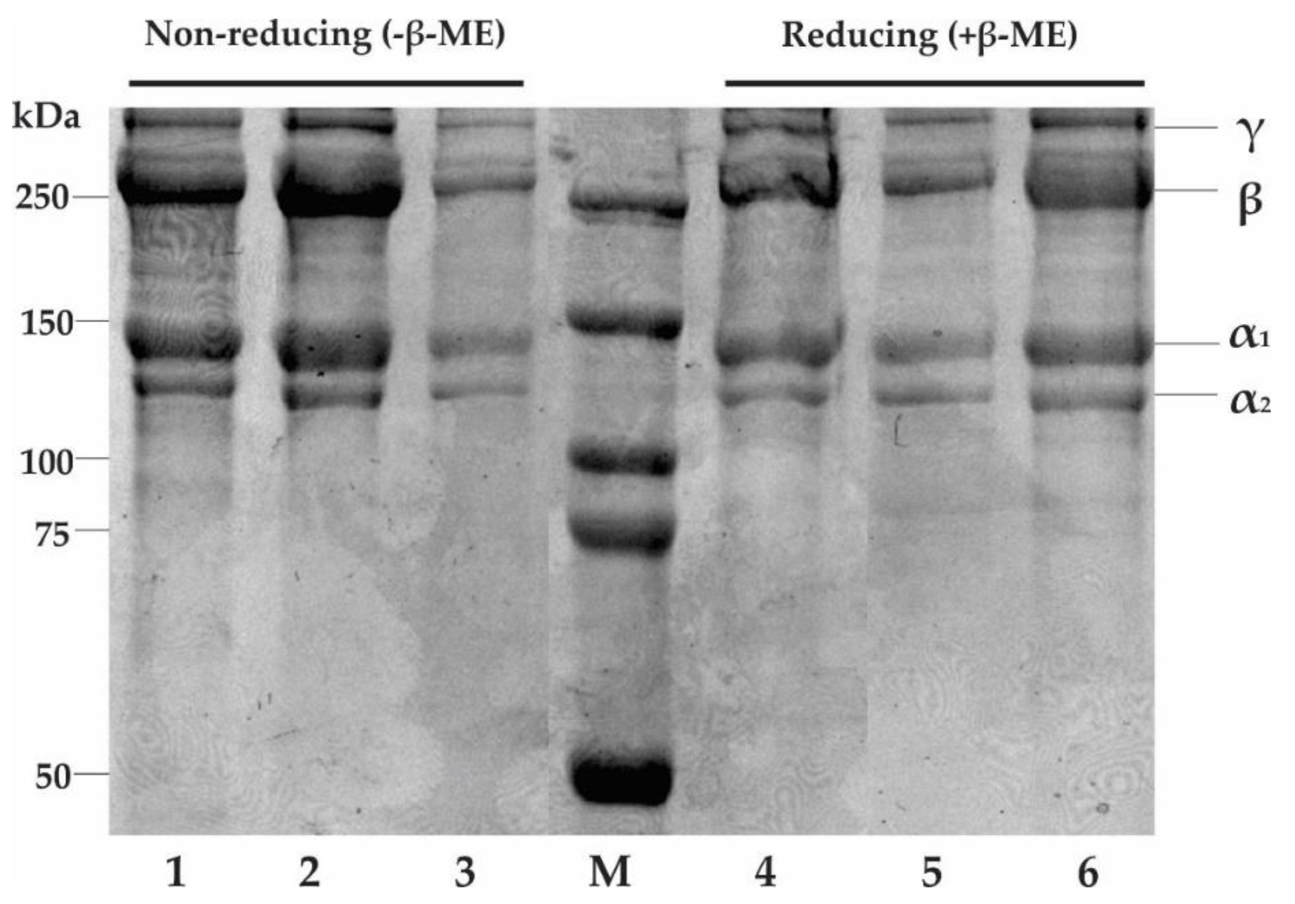 Molecules 27 02452 g003