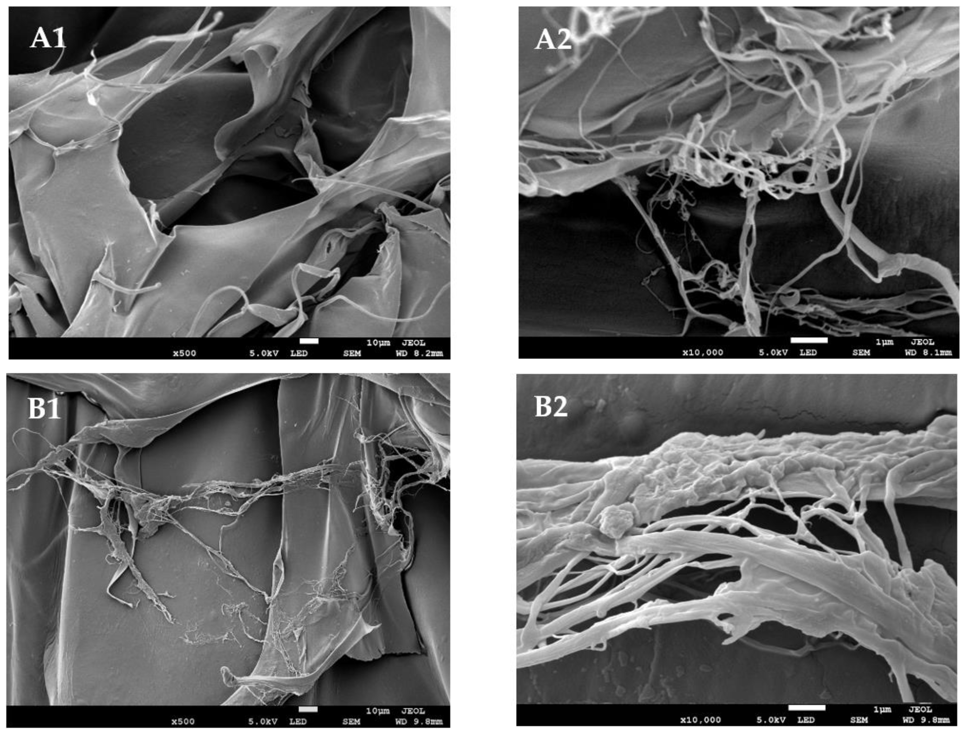Molecules 27 02452 g006a