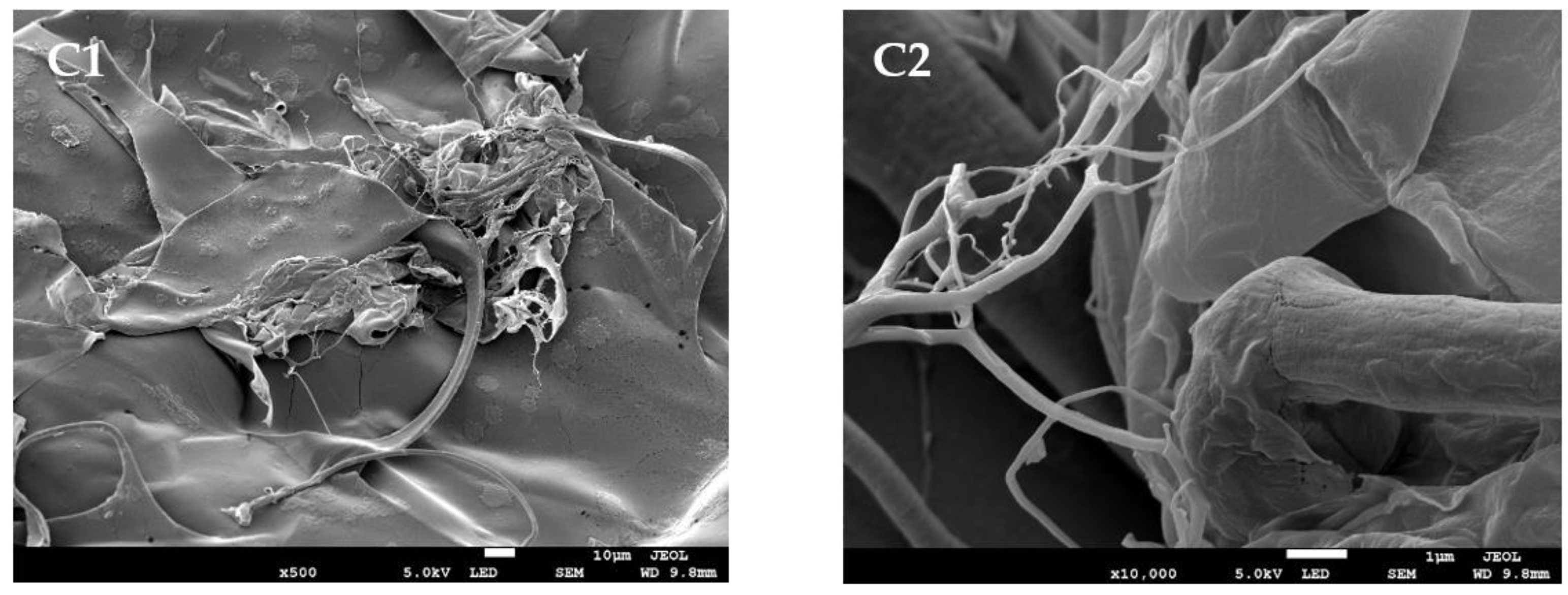 Molecules 27 02452 g006b